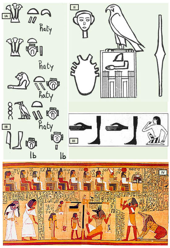 Biology 13 00266 g001