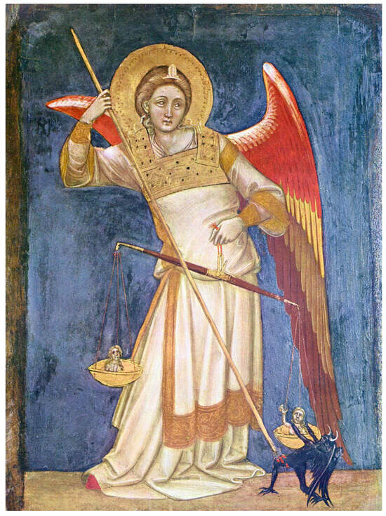 Biology 13 00266 g002