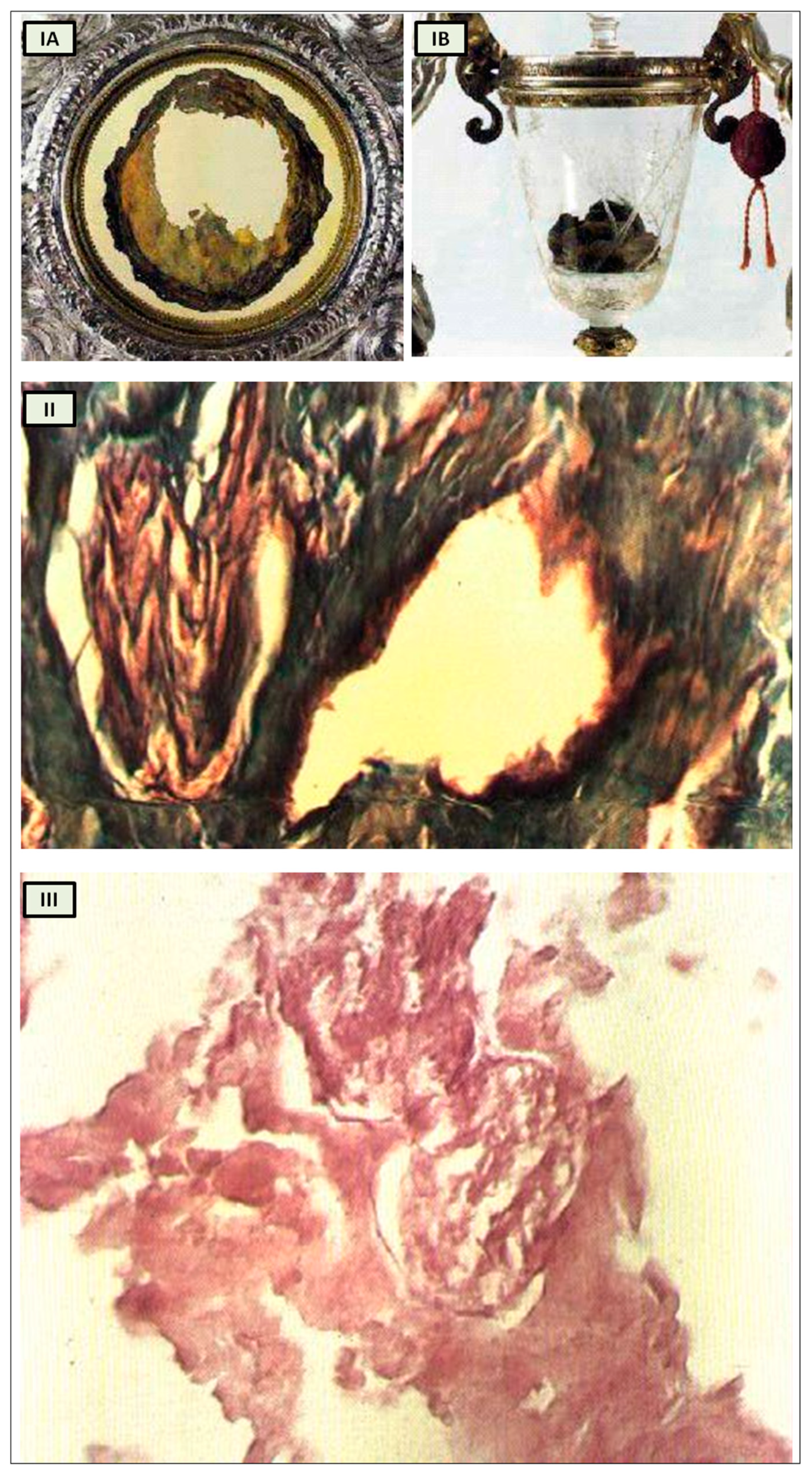 Biology 13 00266 g003