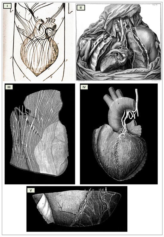 Biology 13 00266 g004