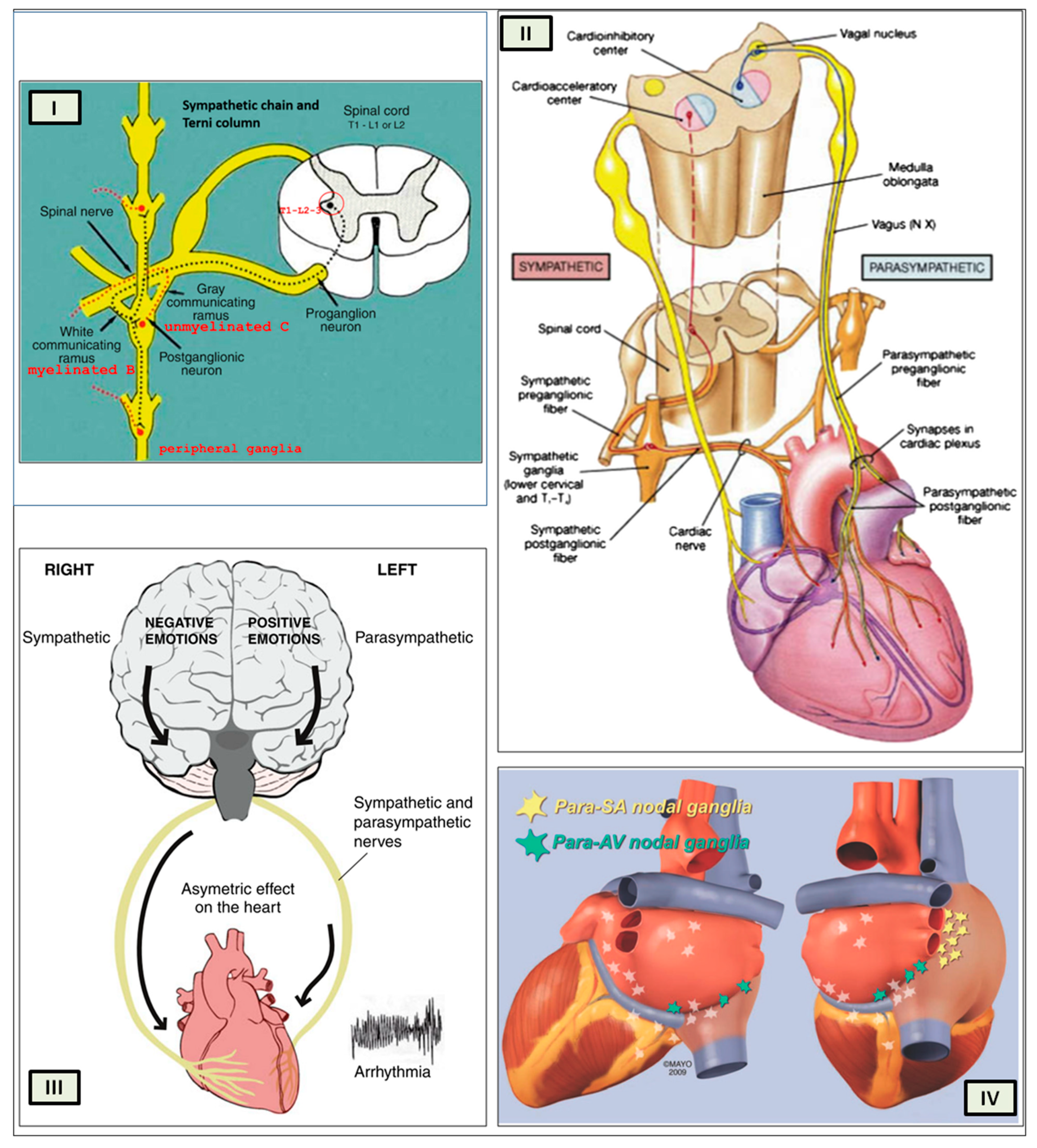 Biology 13 00266 g005