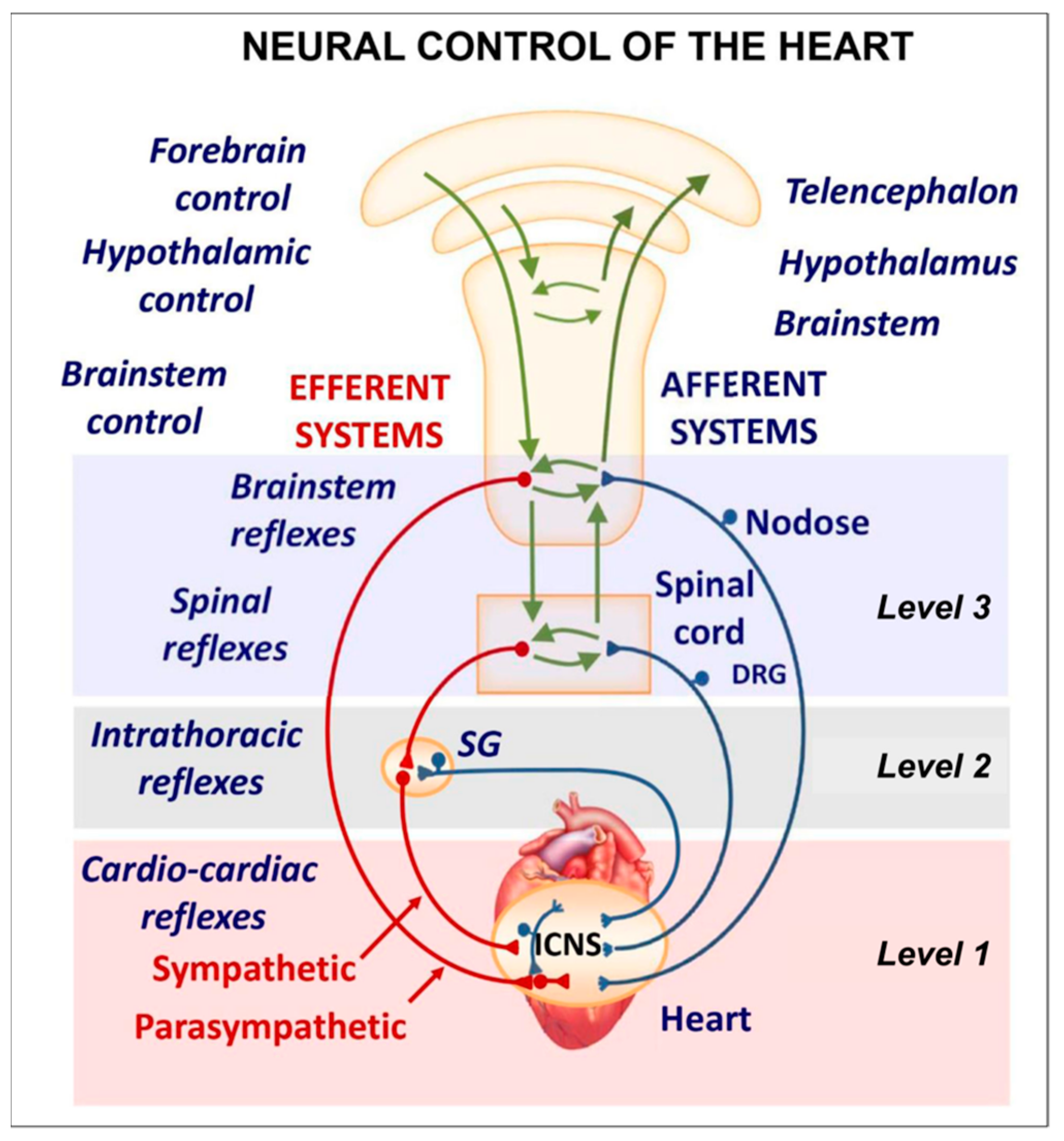 Biology 13 00266 g009