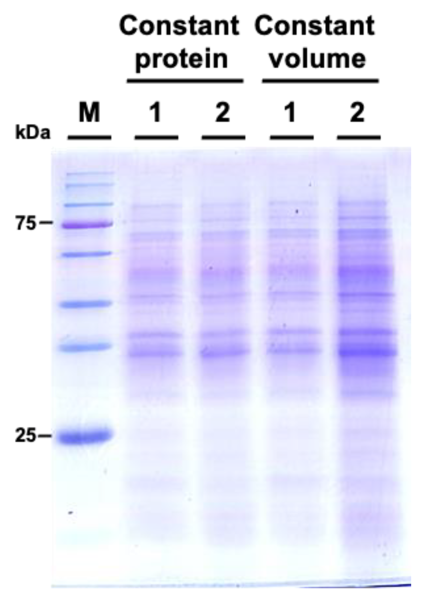 Biology 13 00267 g006