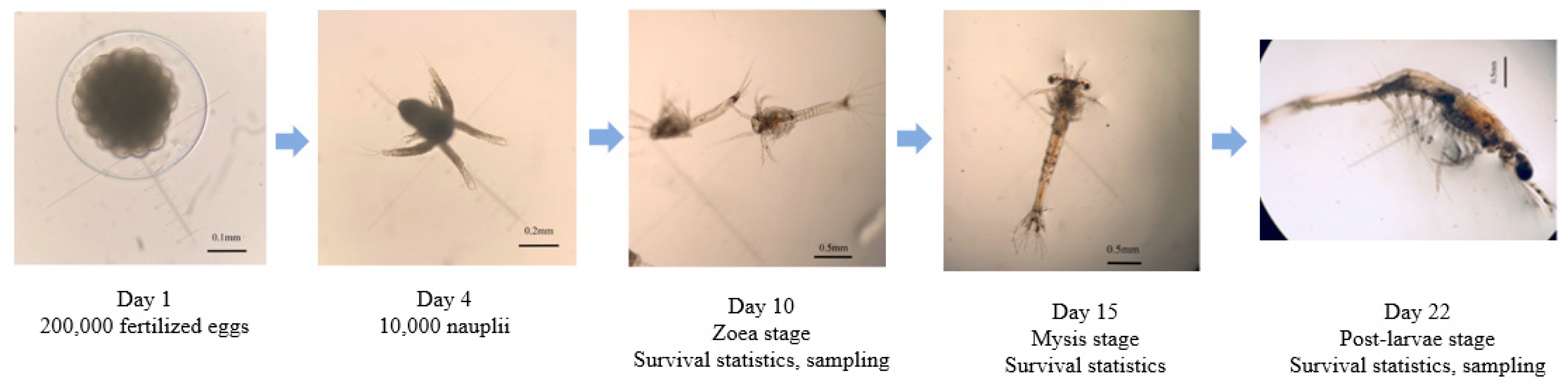 Biology 13 00268 g001