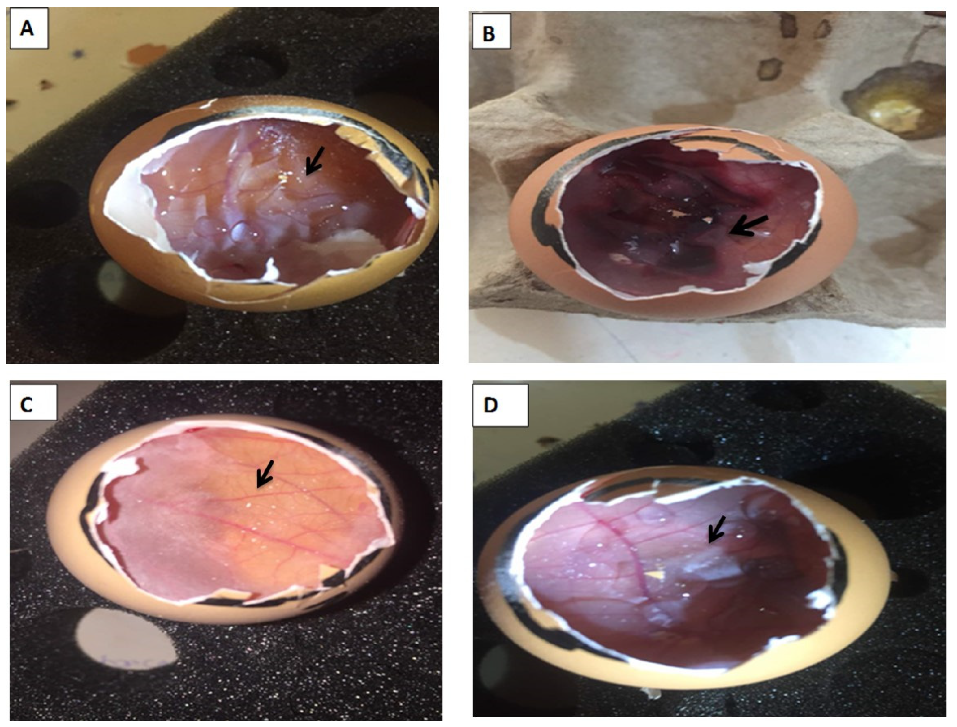 Biology 13 00270 g001
