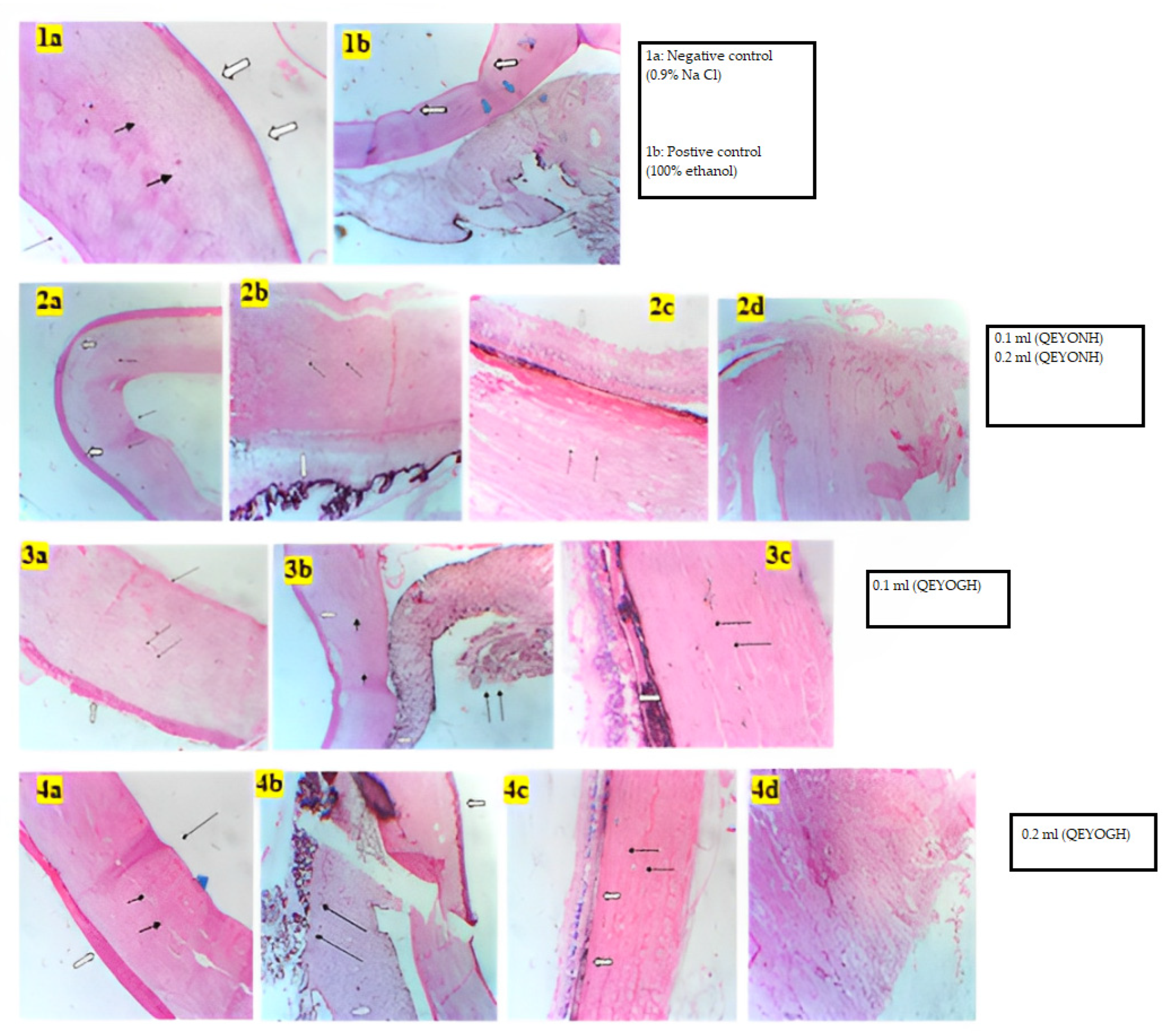 Biology 13 00270 g003