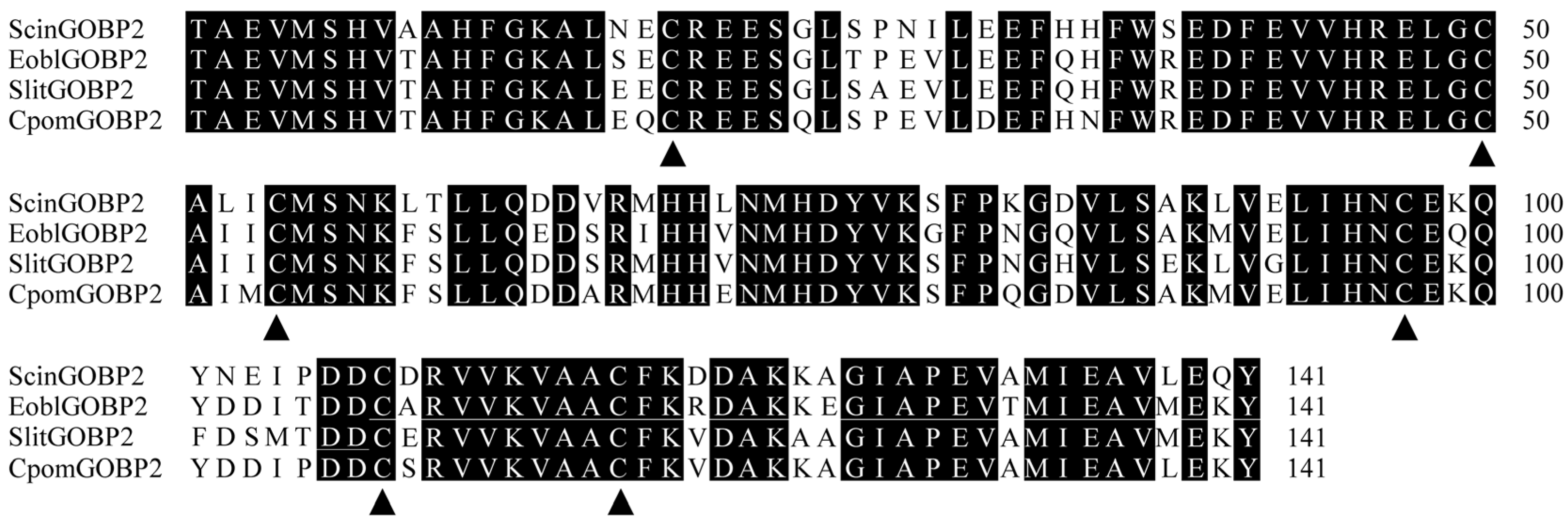 Biology 13 00274 g001
