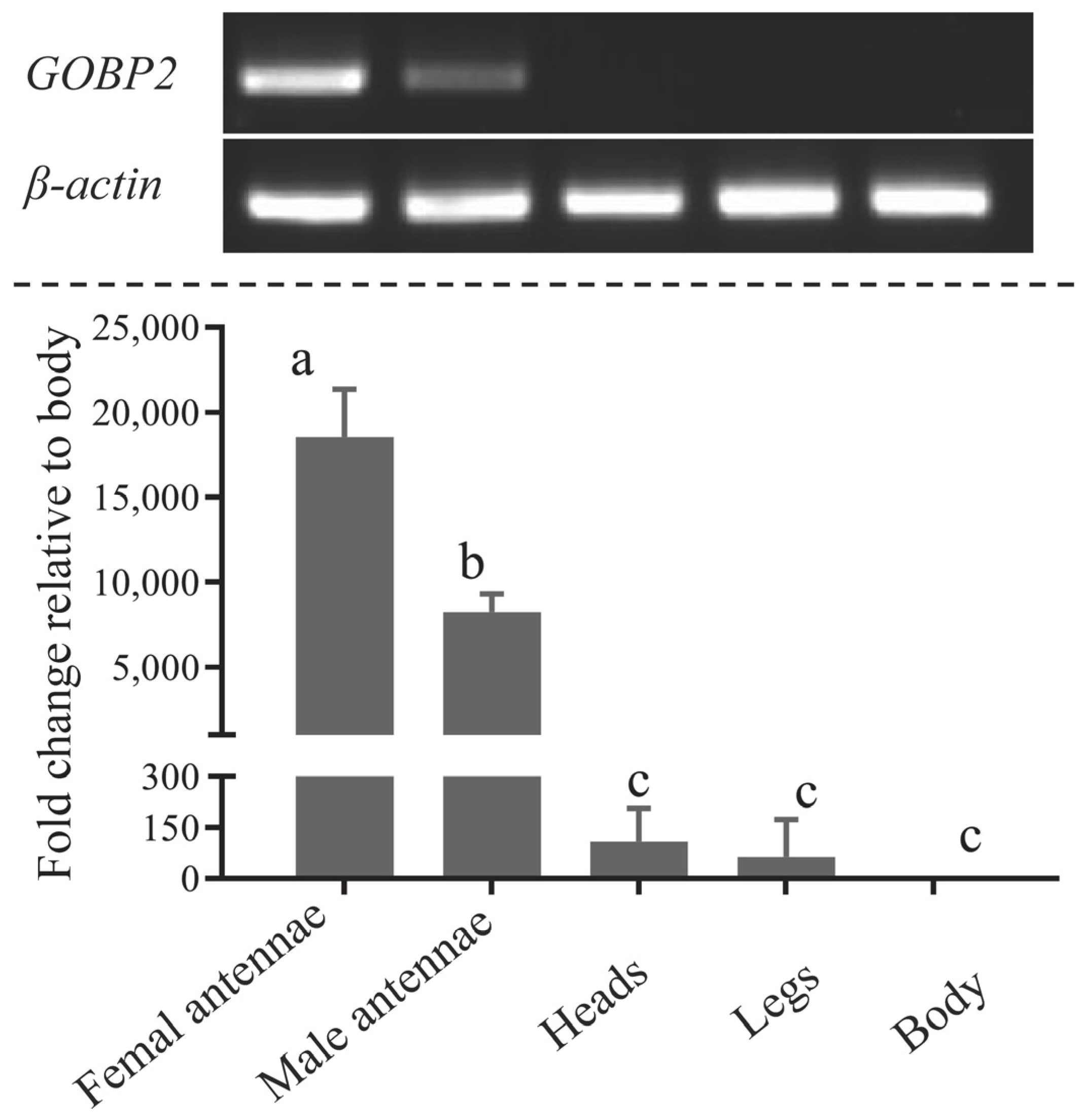 Biology 13 00274 g002