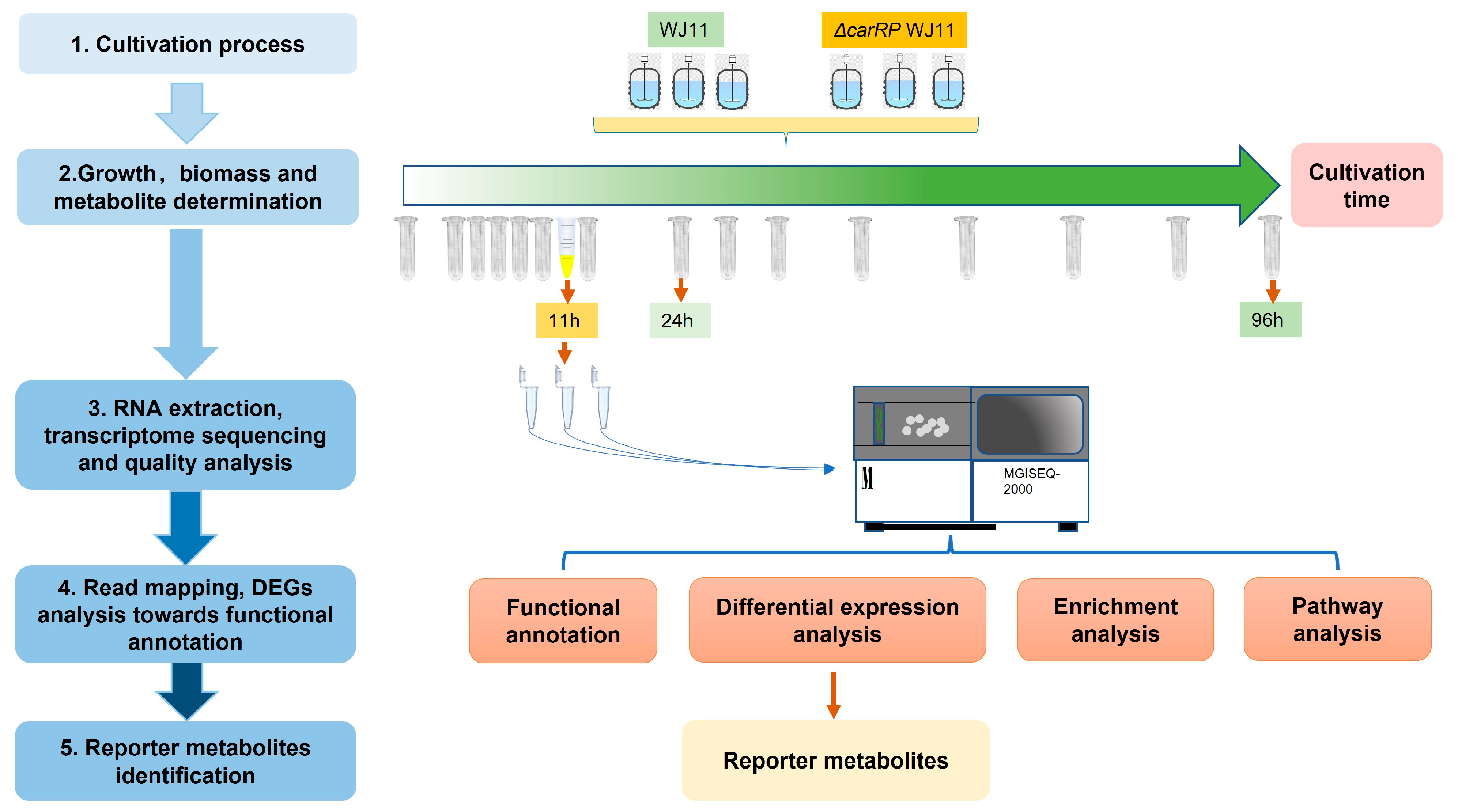 Biology 13 00276 g001 Biology 13 00276 g001