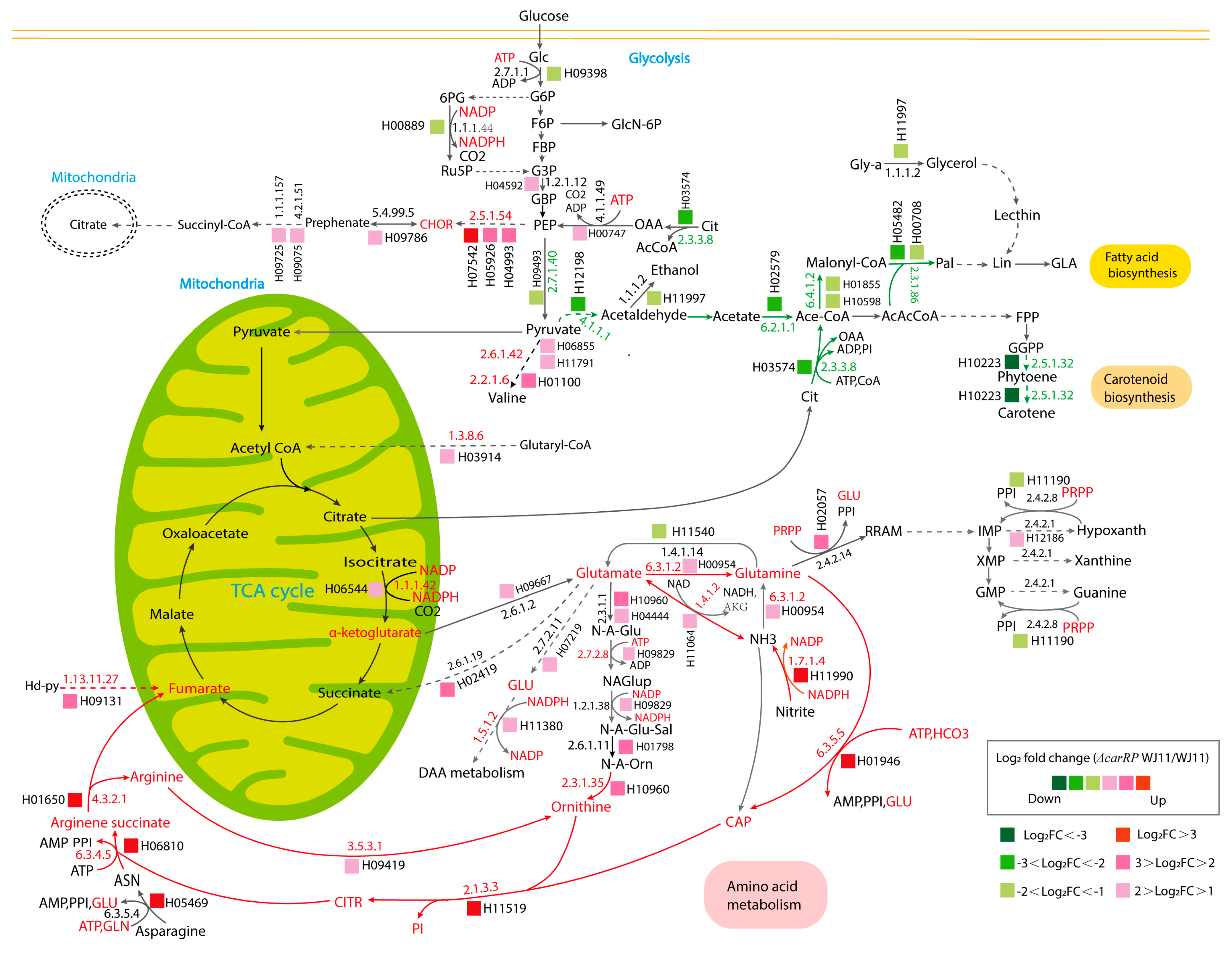 Biology 13 00276 g005 Biology 13 00276 g005