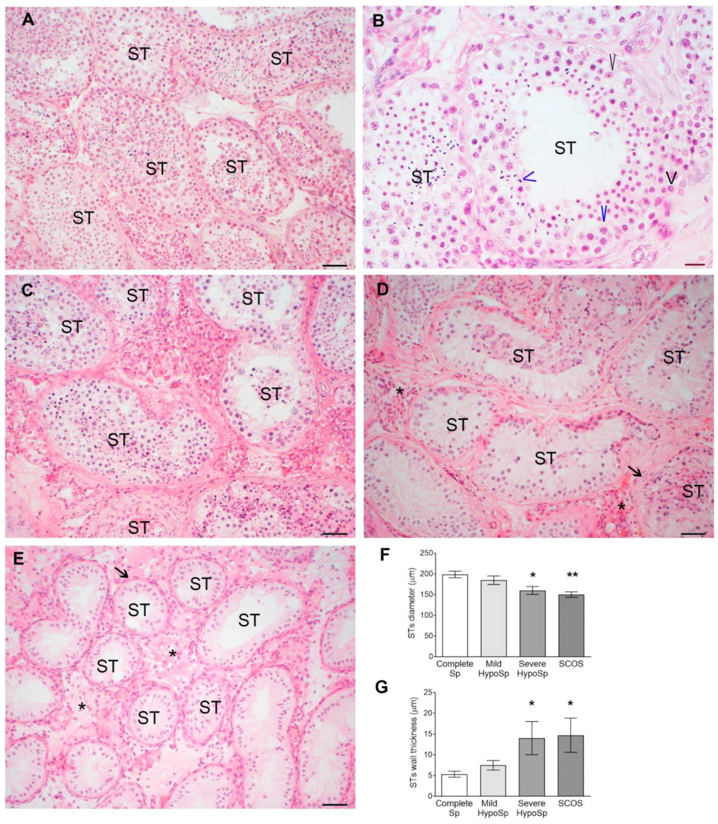 Biology 13 00278 g001