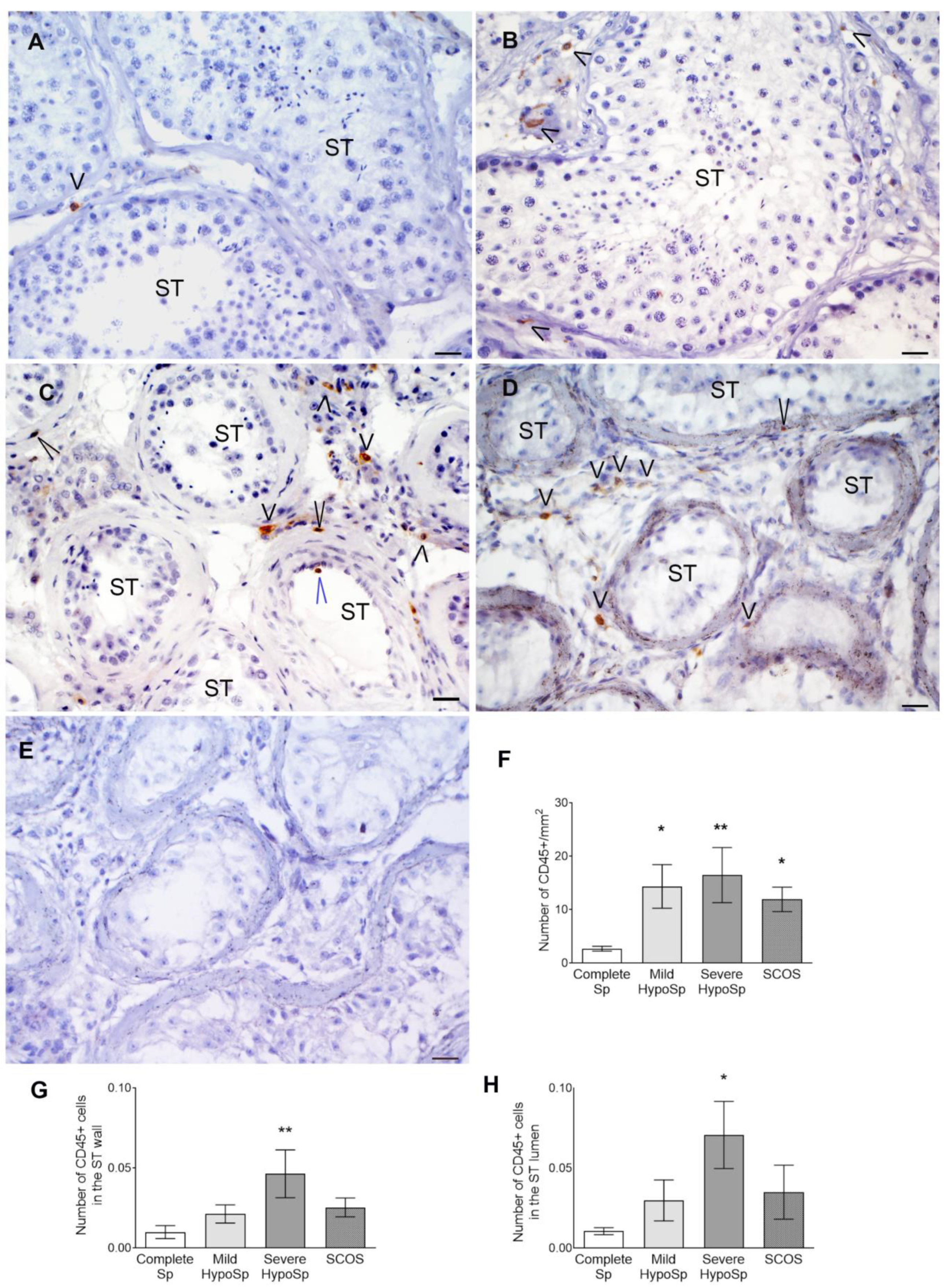 Biology 13 00278 g002