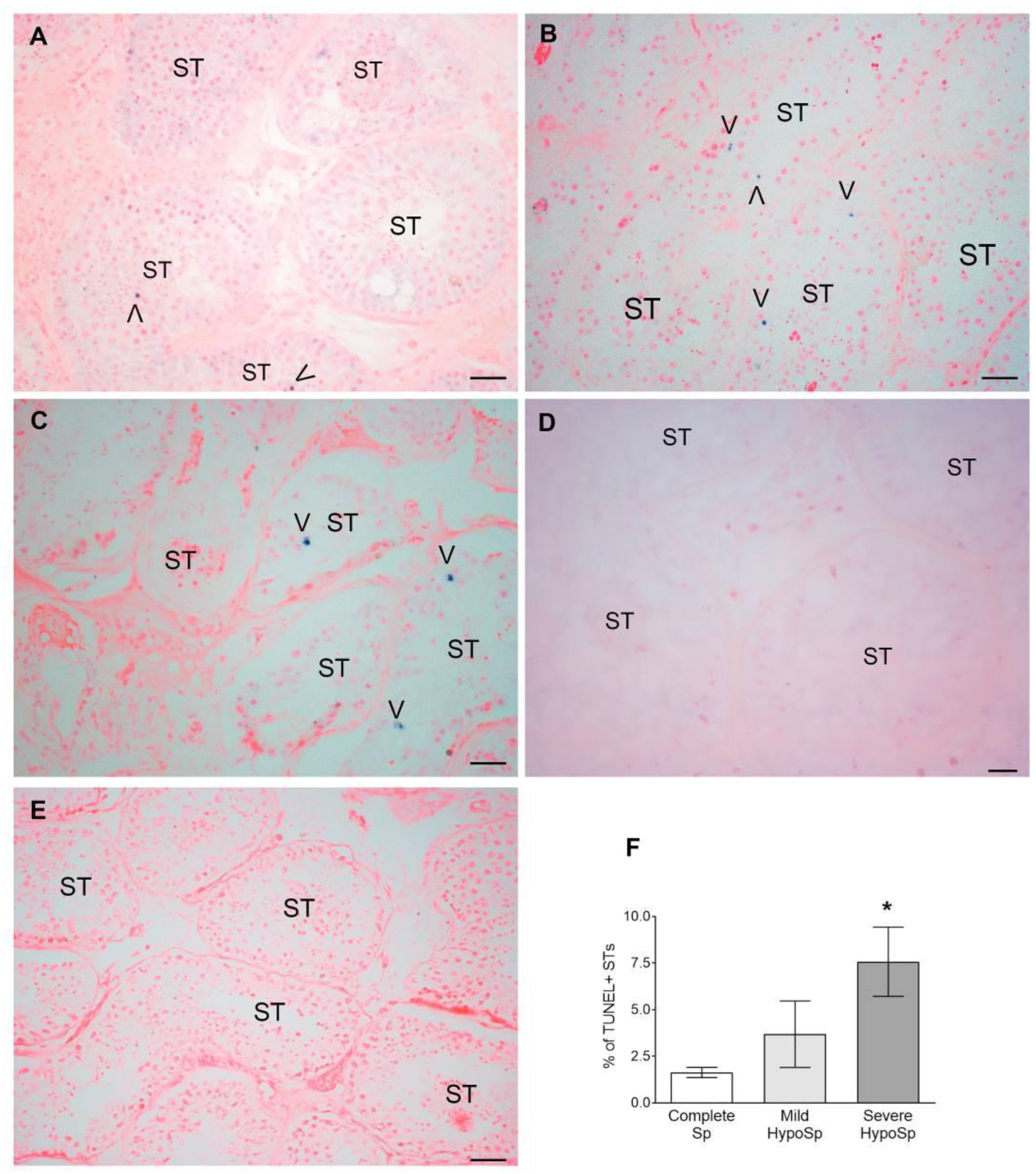 Biology 13 00278 g003