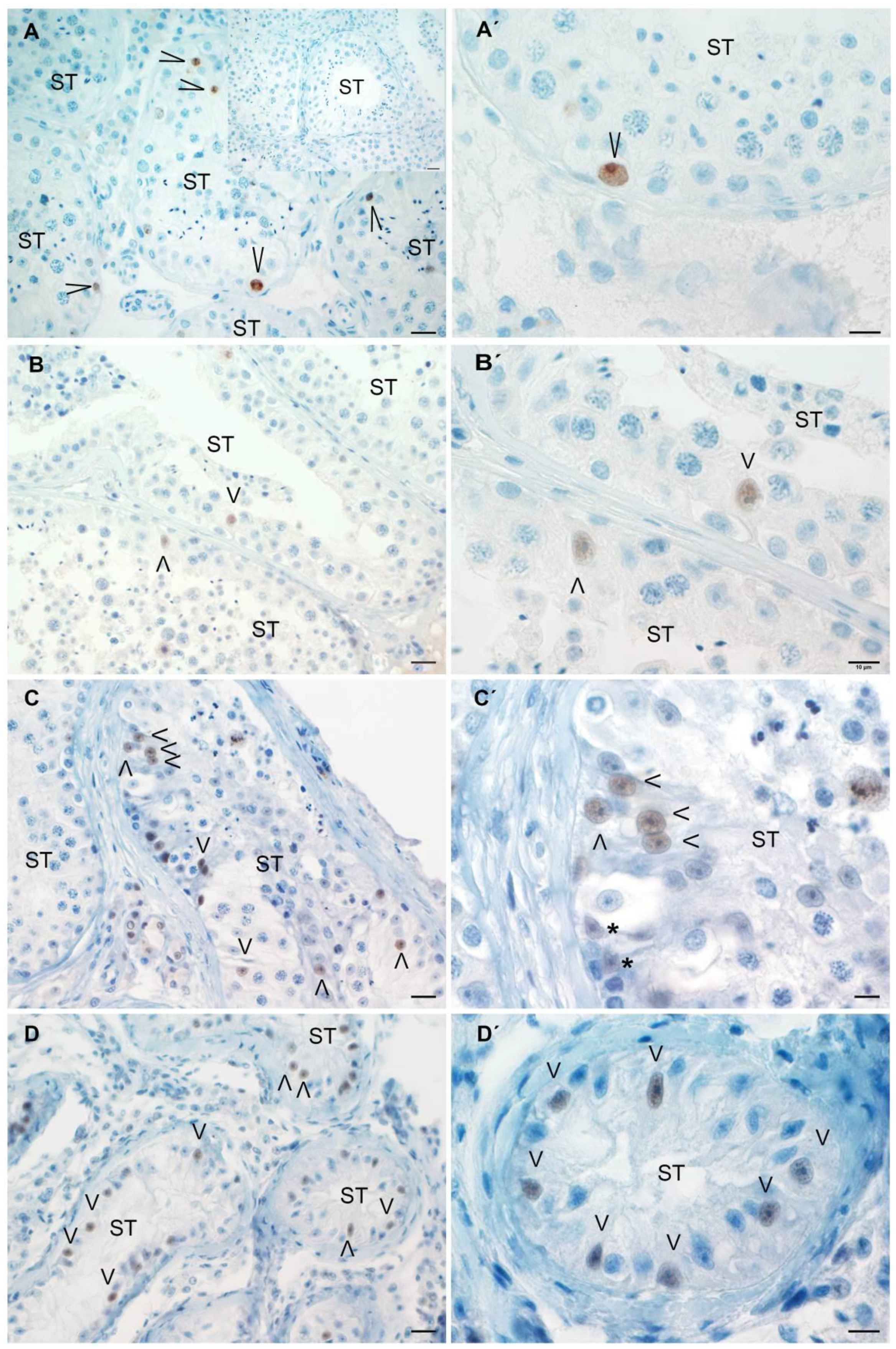 Biology 13 00278 g006