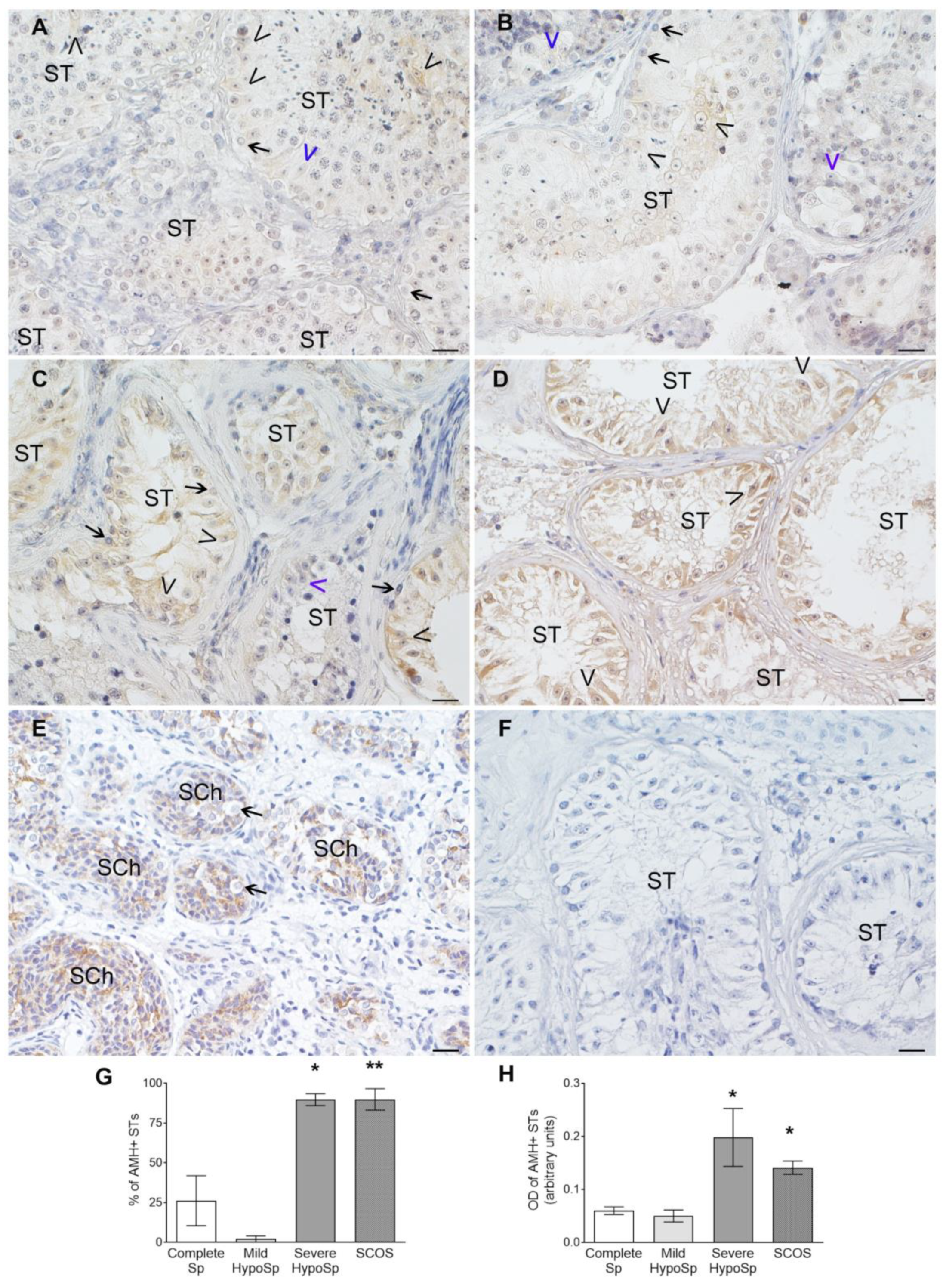 Biology 13 00278 g007