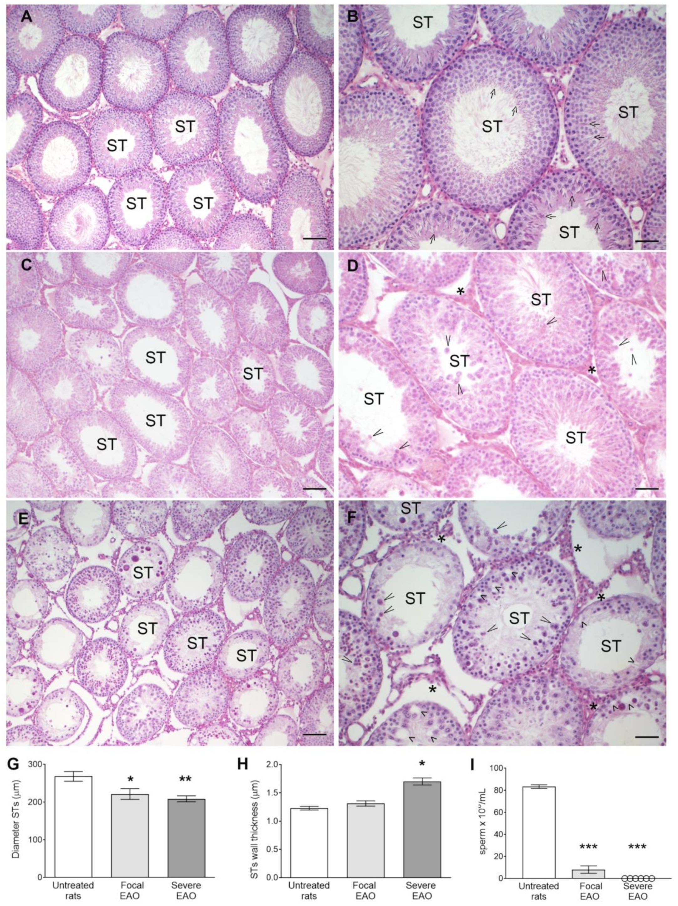 Biology 13 00278 g008