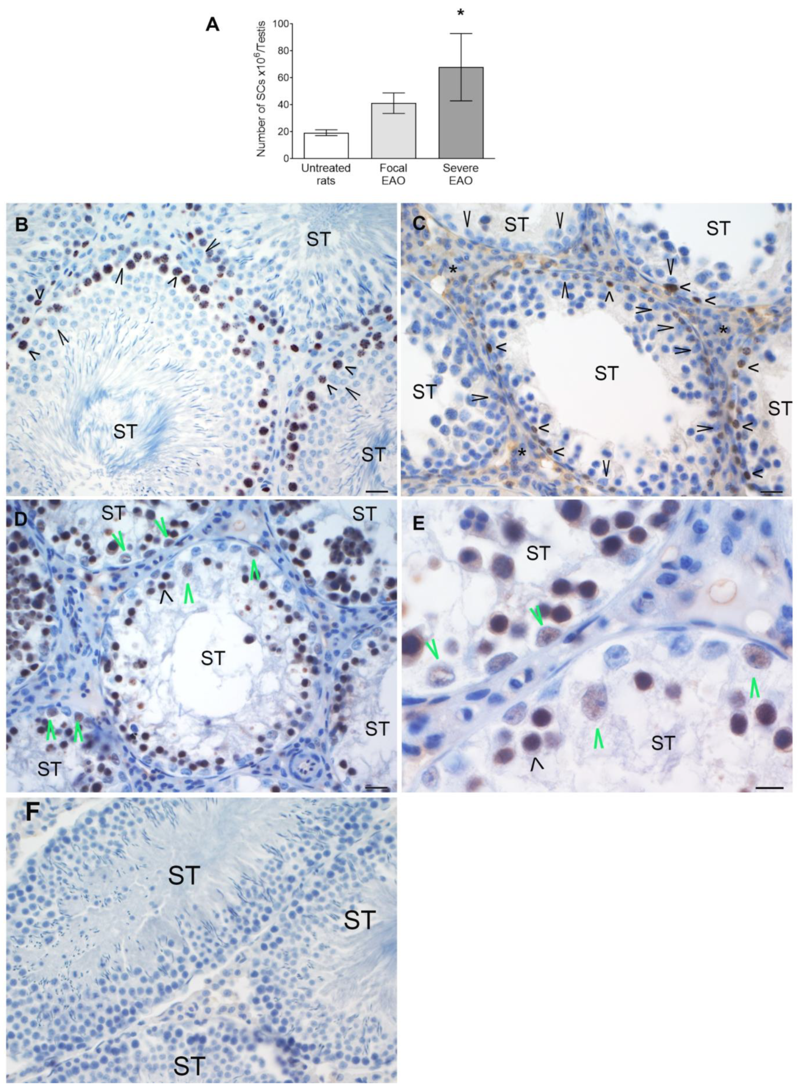 Biology 13 00278 g009