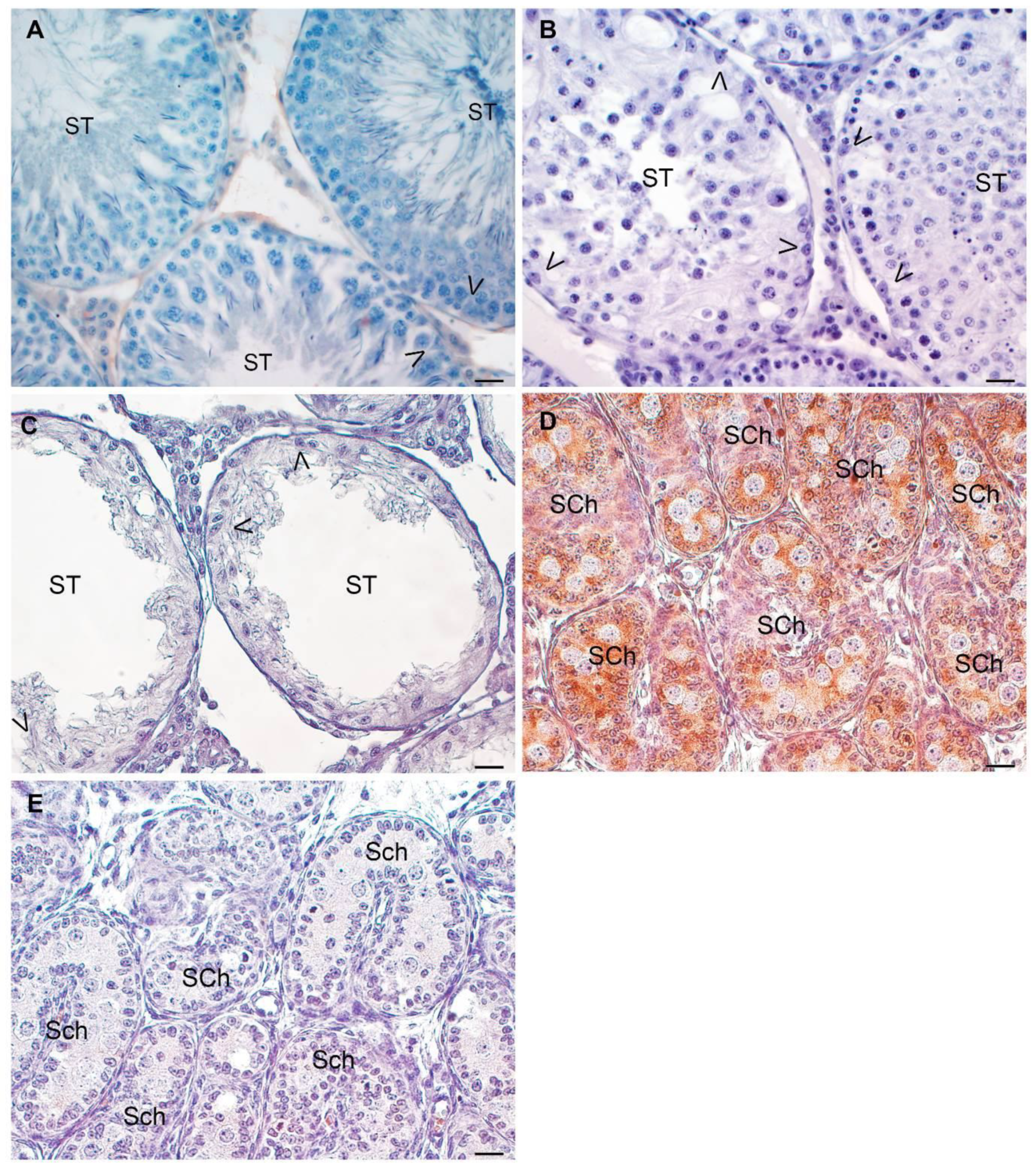 Biology 13 00278 g010