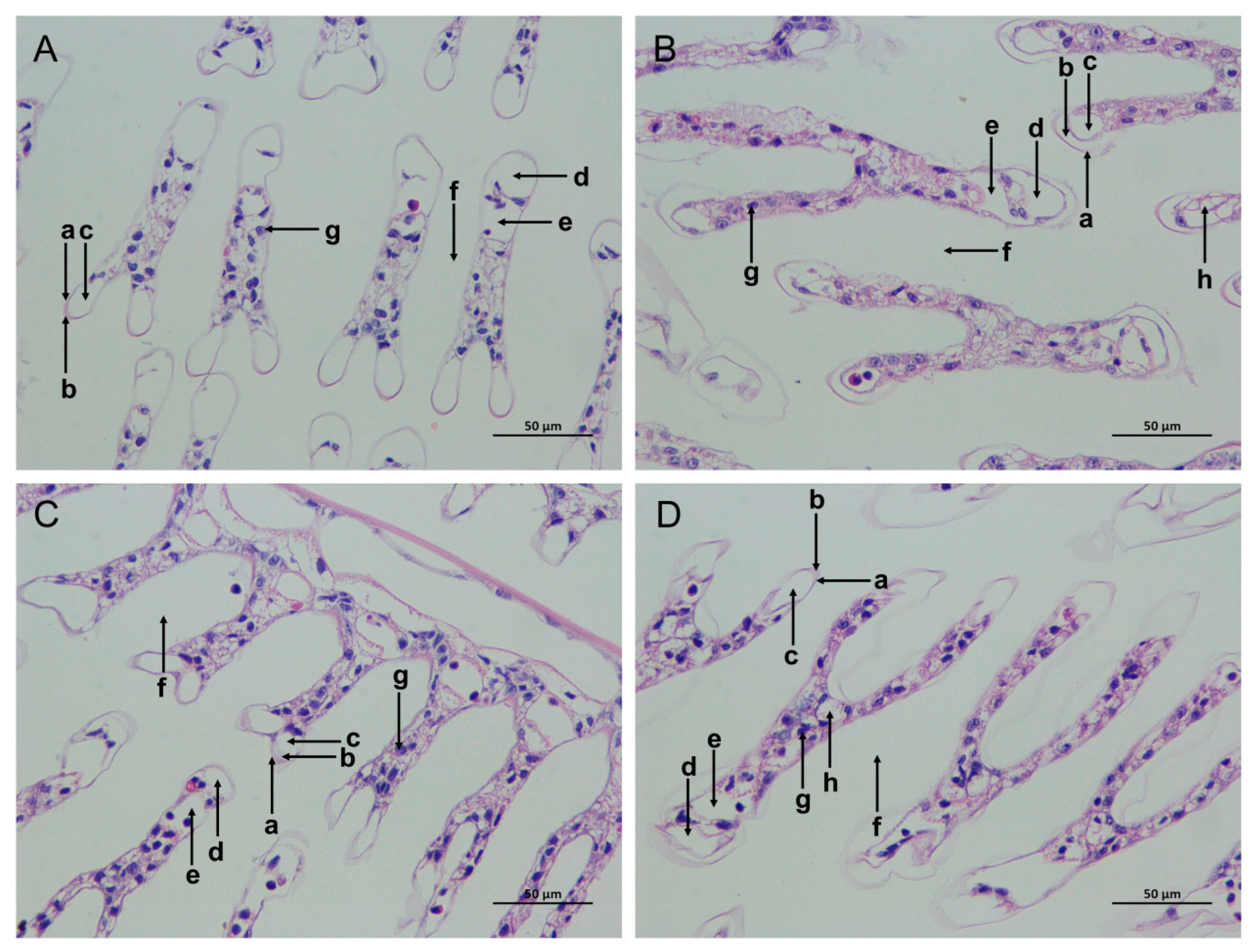 Biology 13 00281 g002