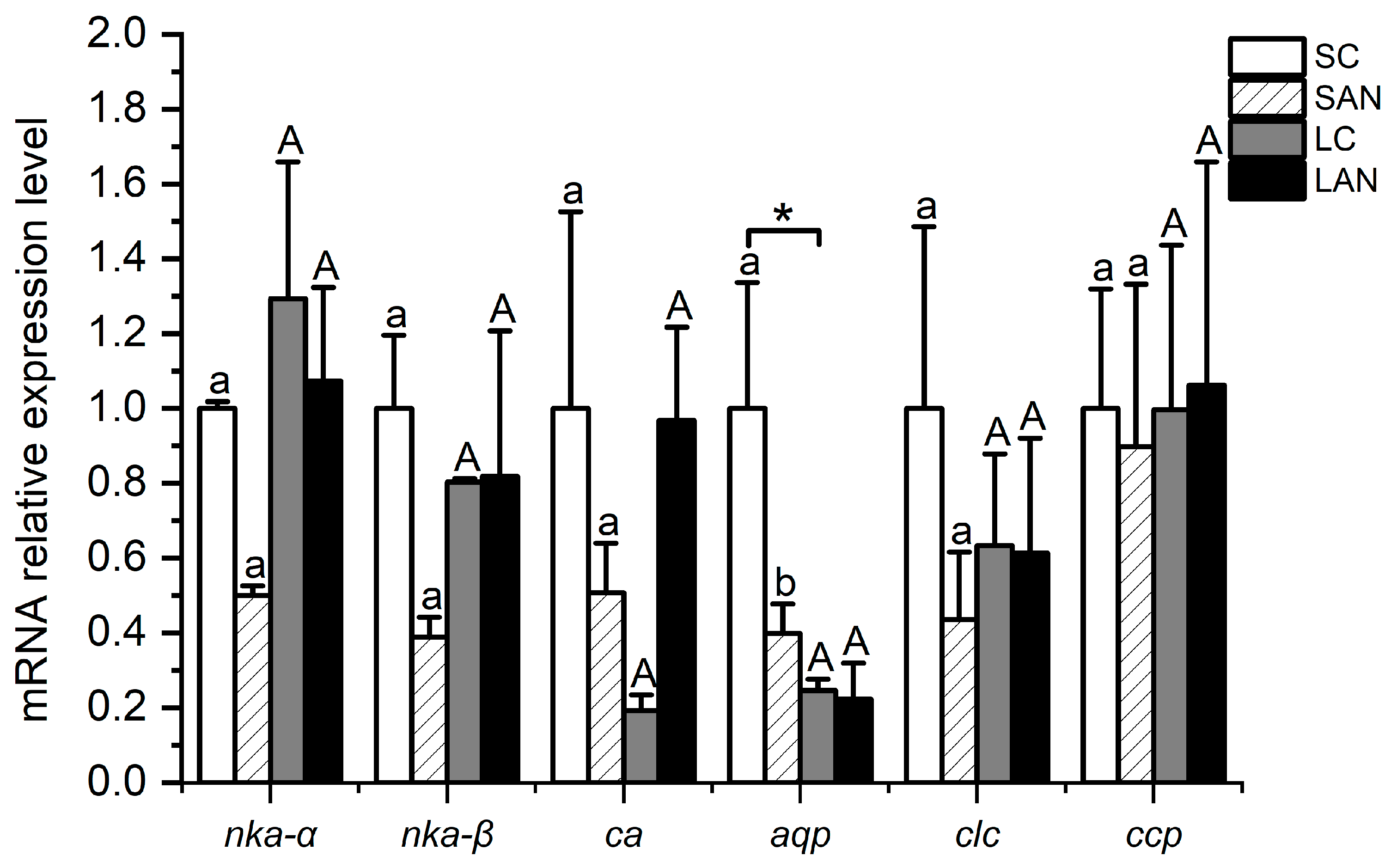 Biology 13 00281 g008