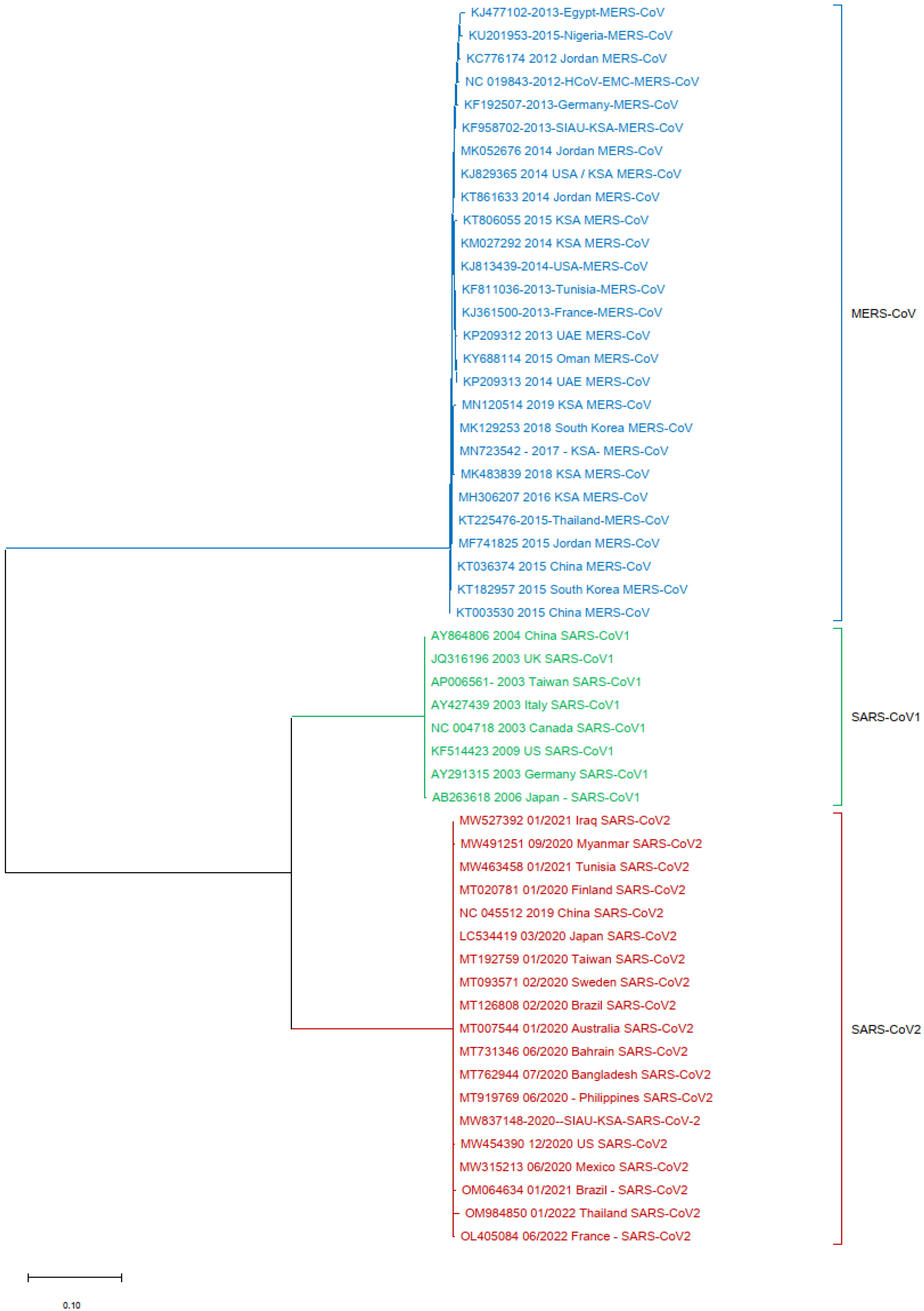 Biology 13 00282 g005