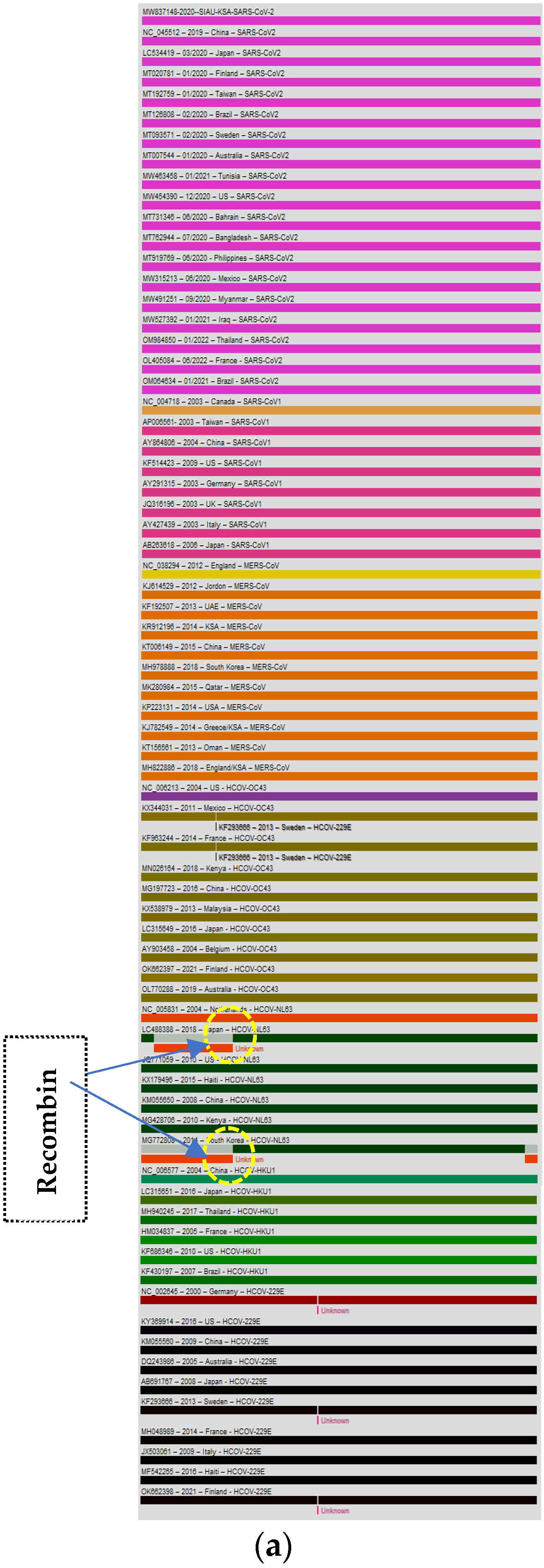 Biology 13 00282 g006a
