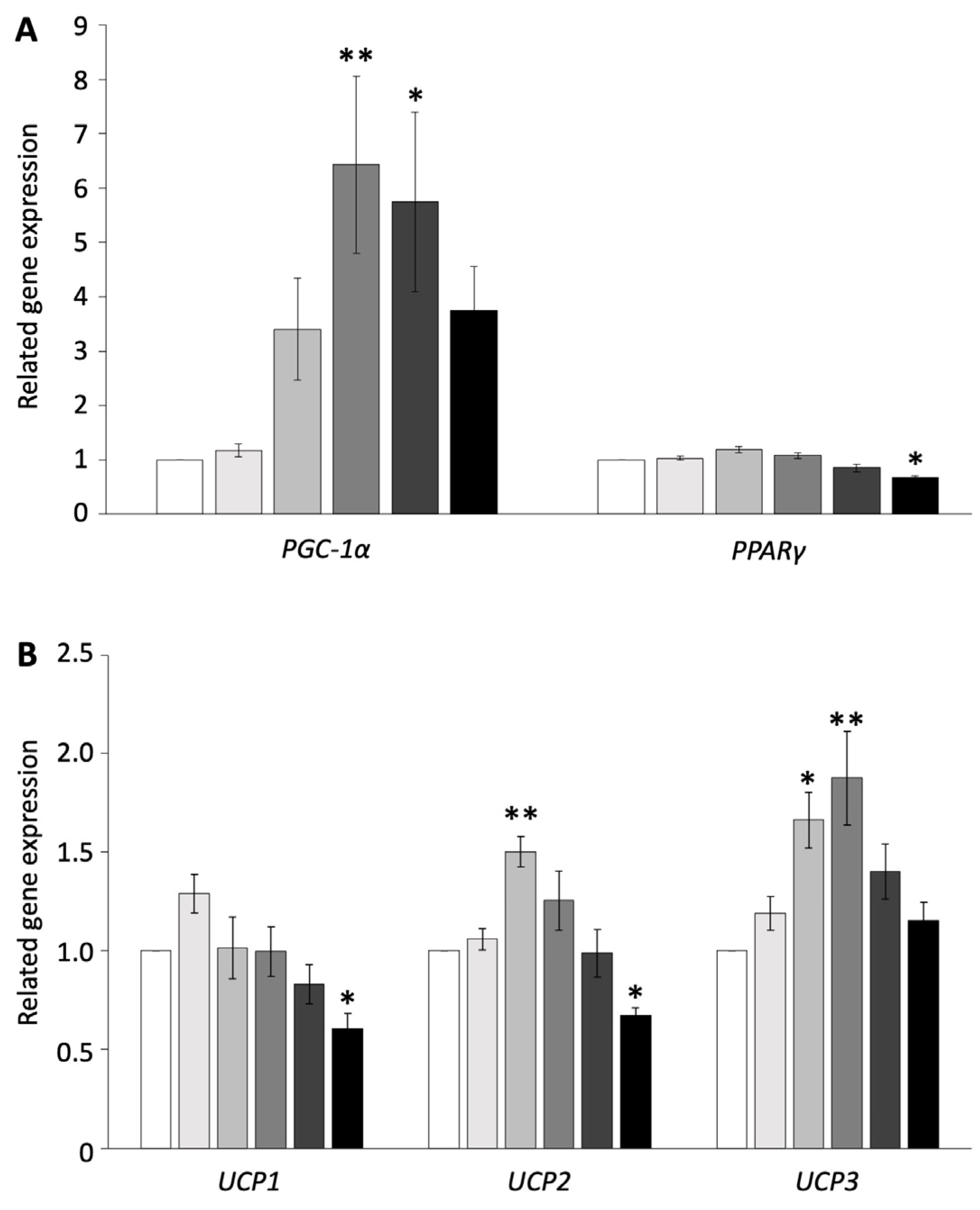 Biology 13 00284 g001
