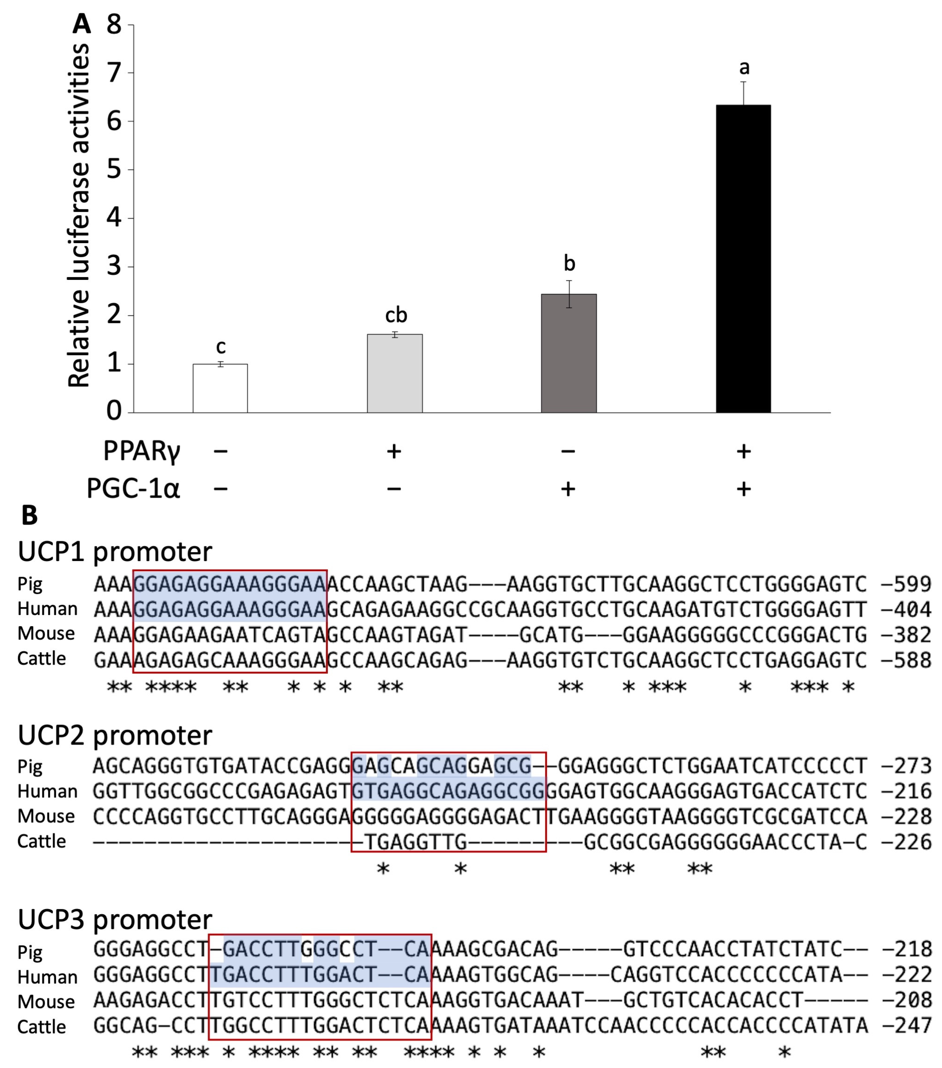 Biology 13 00284 g002