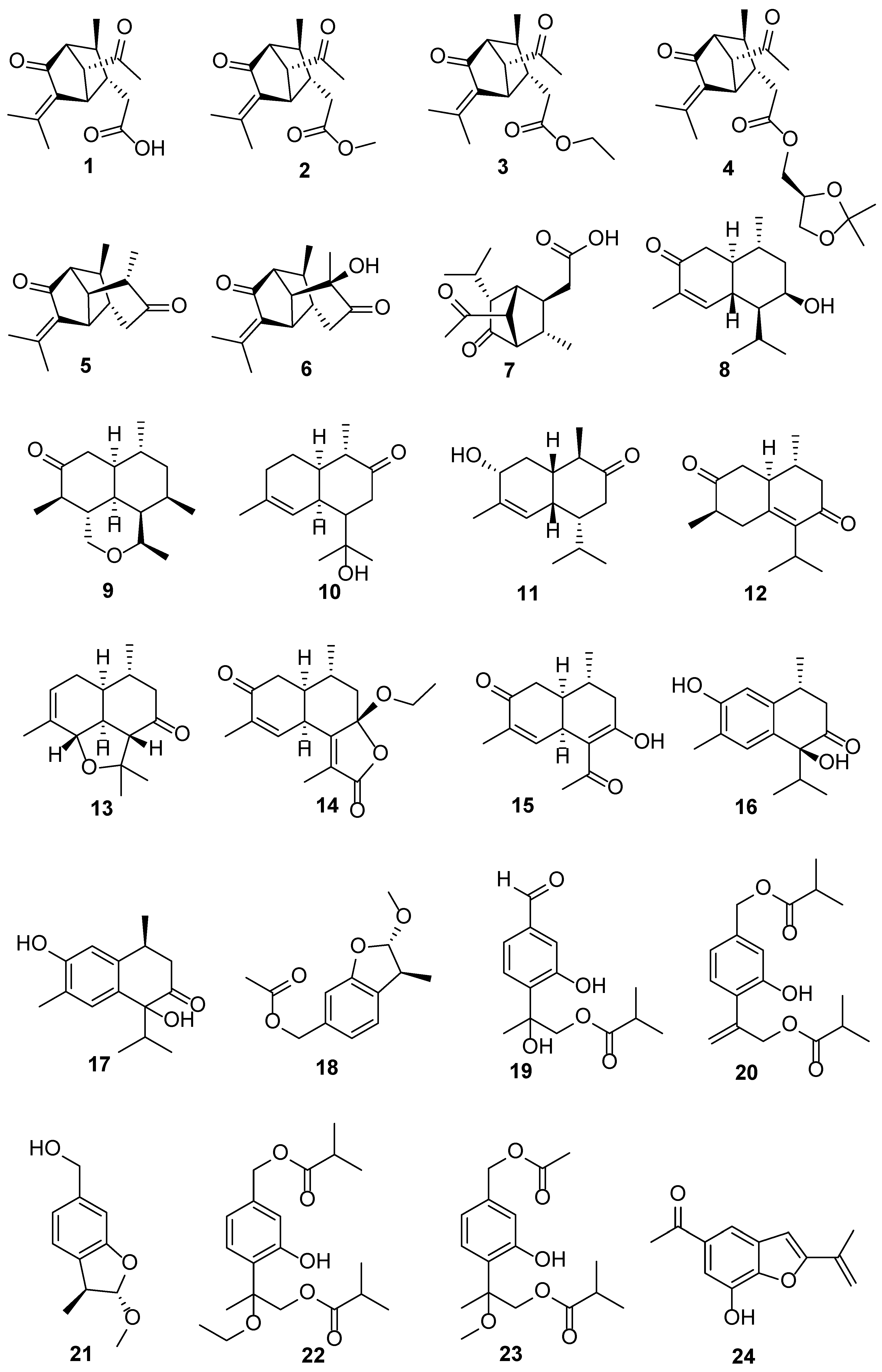 Biology 13 00288 g002a