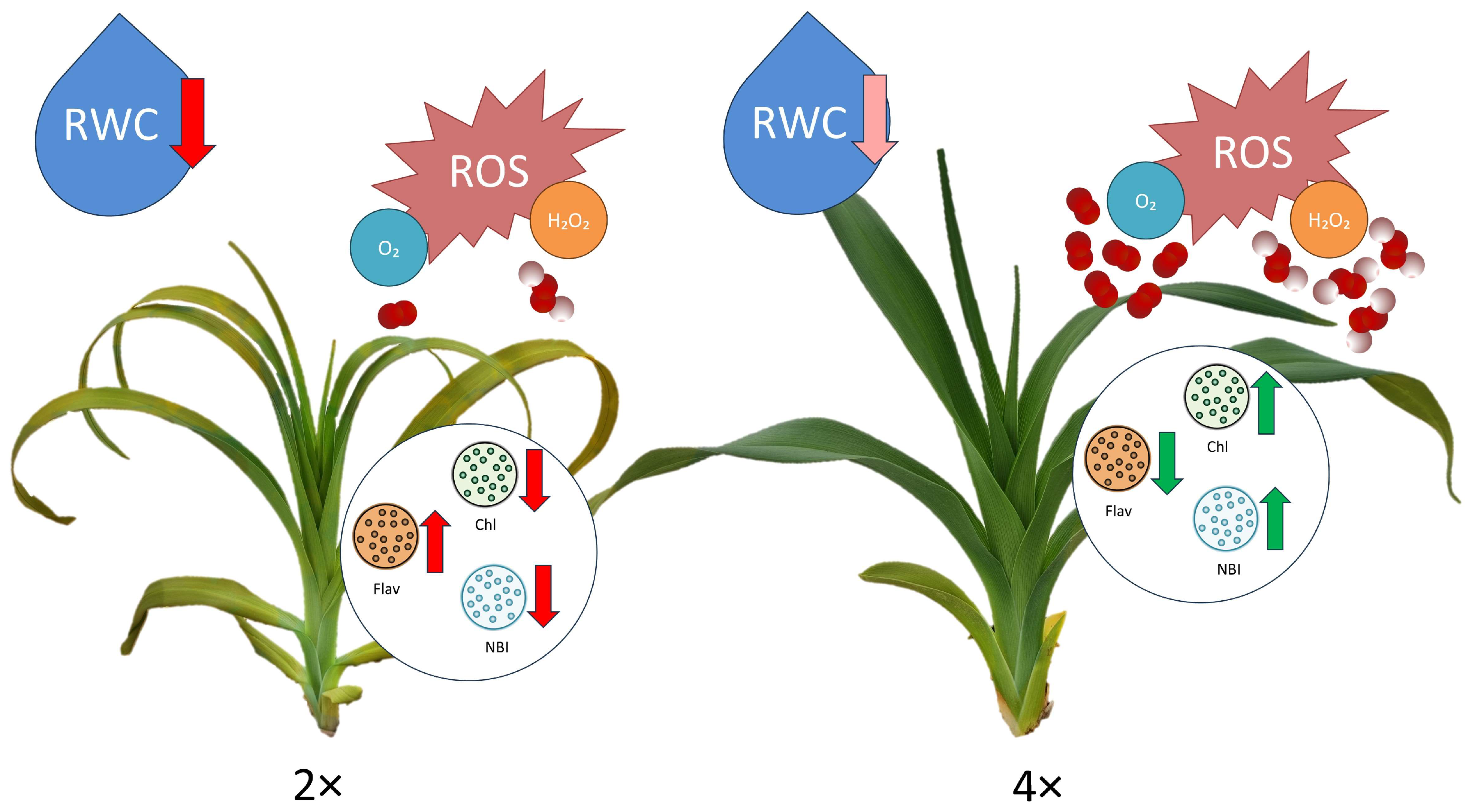 Biology 13 00289 g006
