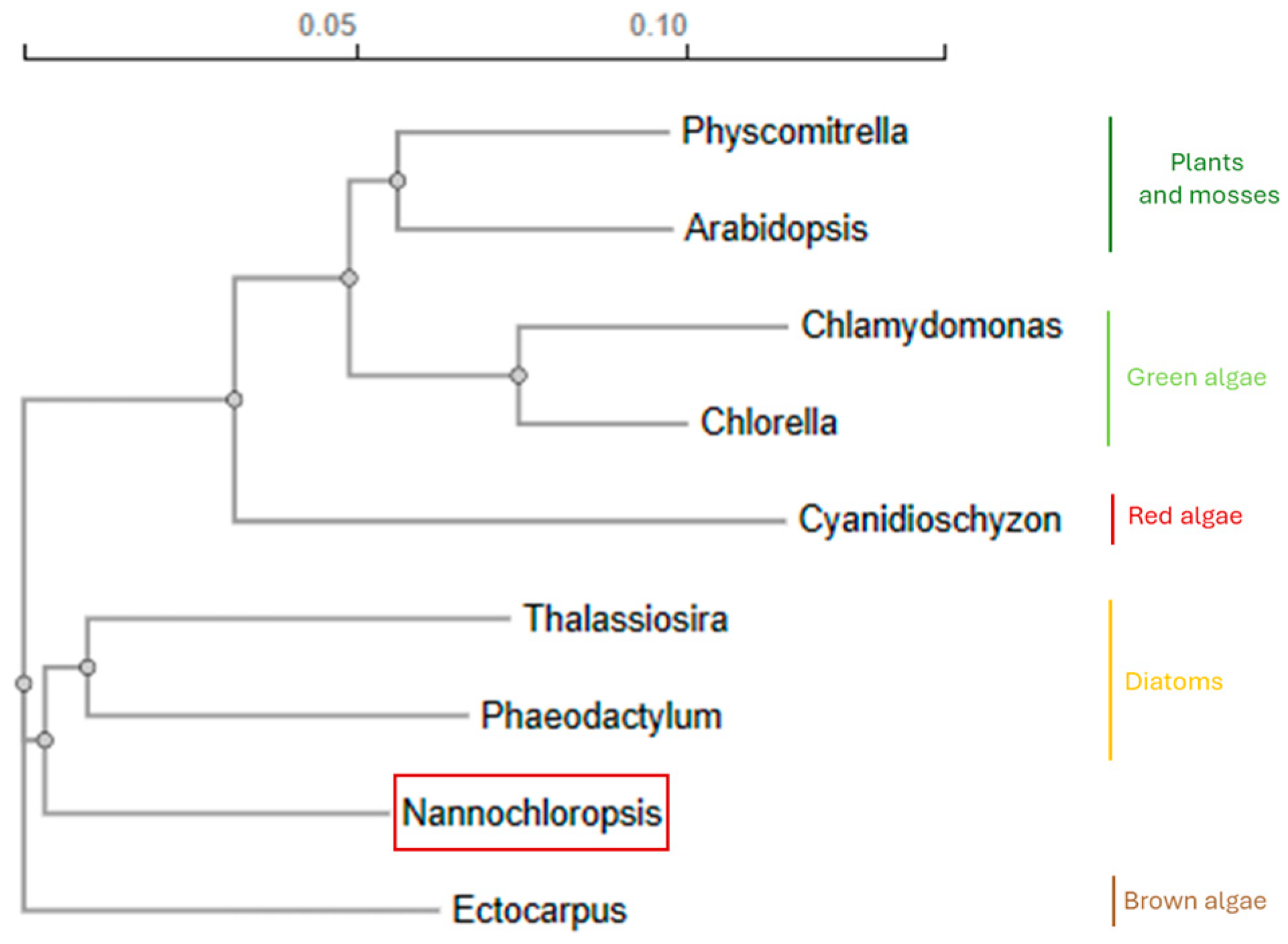 Biology 13 00292 g001