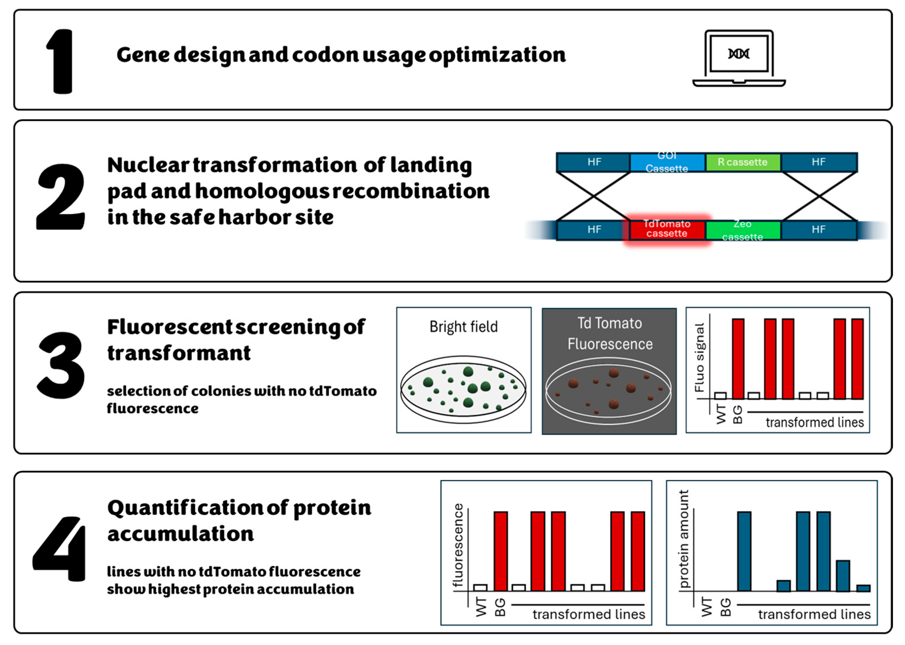 Biology 13 00292 g004