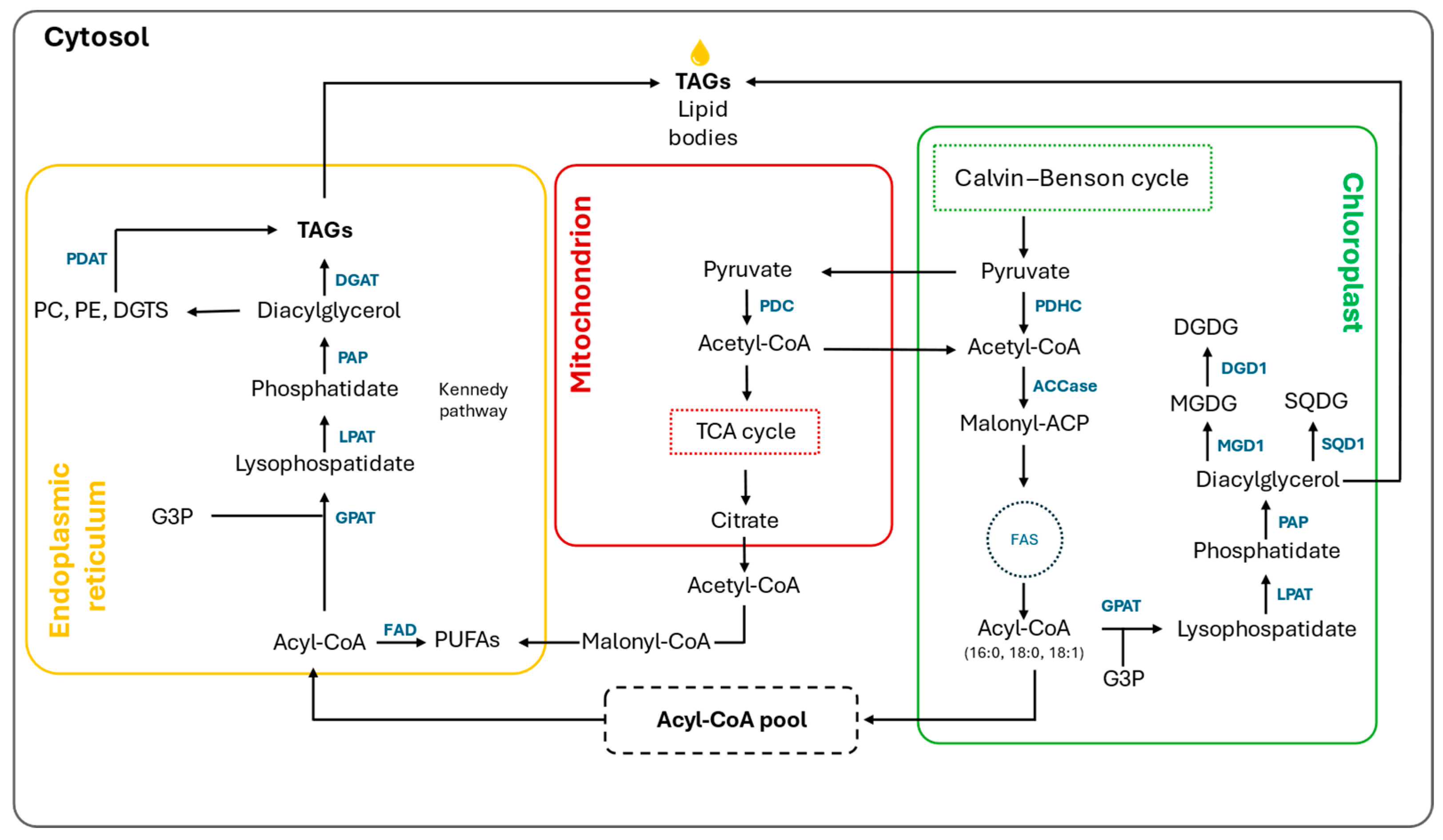 Biology 13 00292 g005