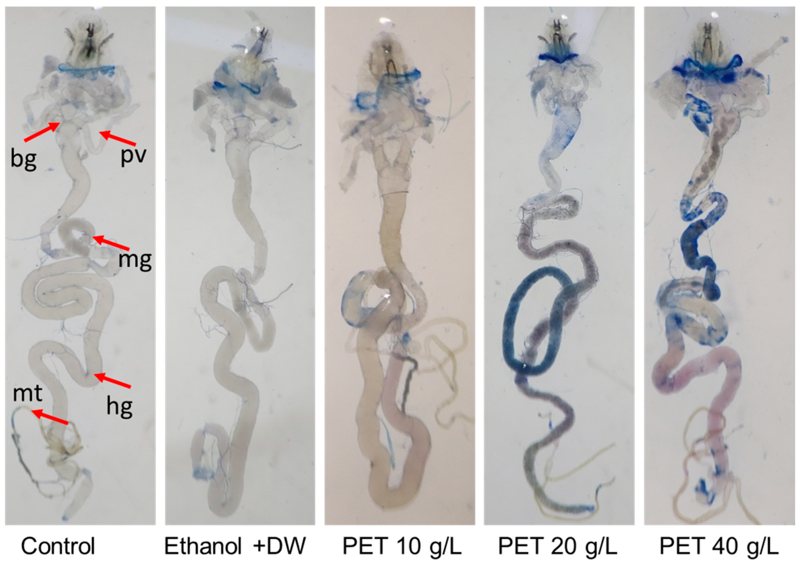 Biology 13 00293 g002