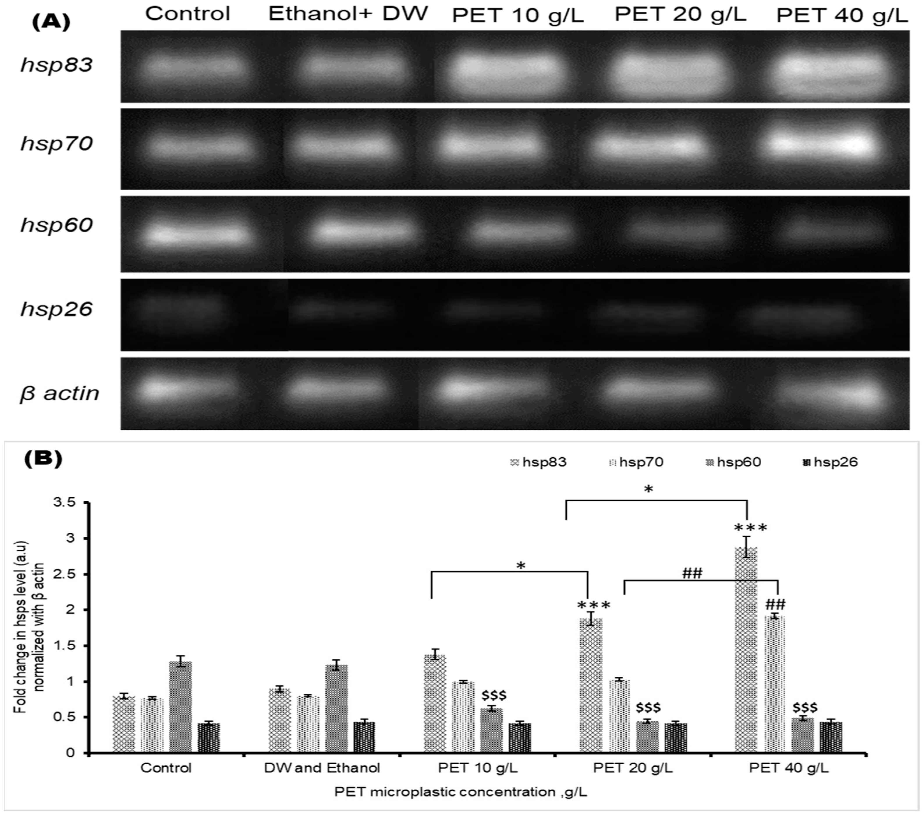 Biology 13 00293 g006