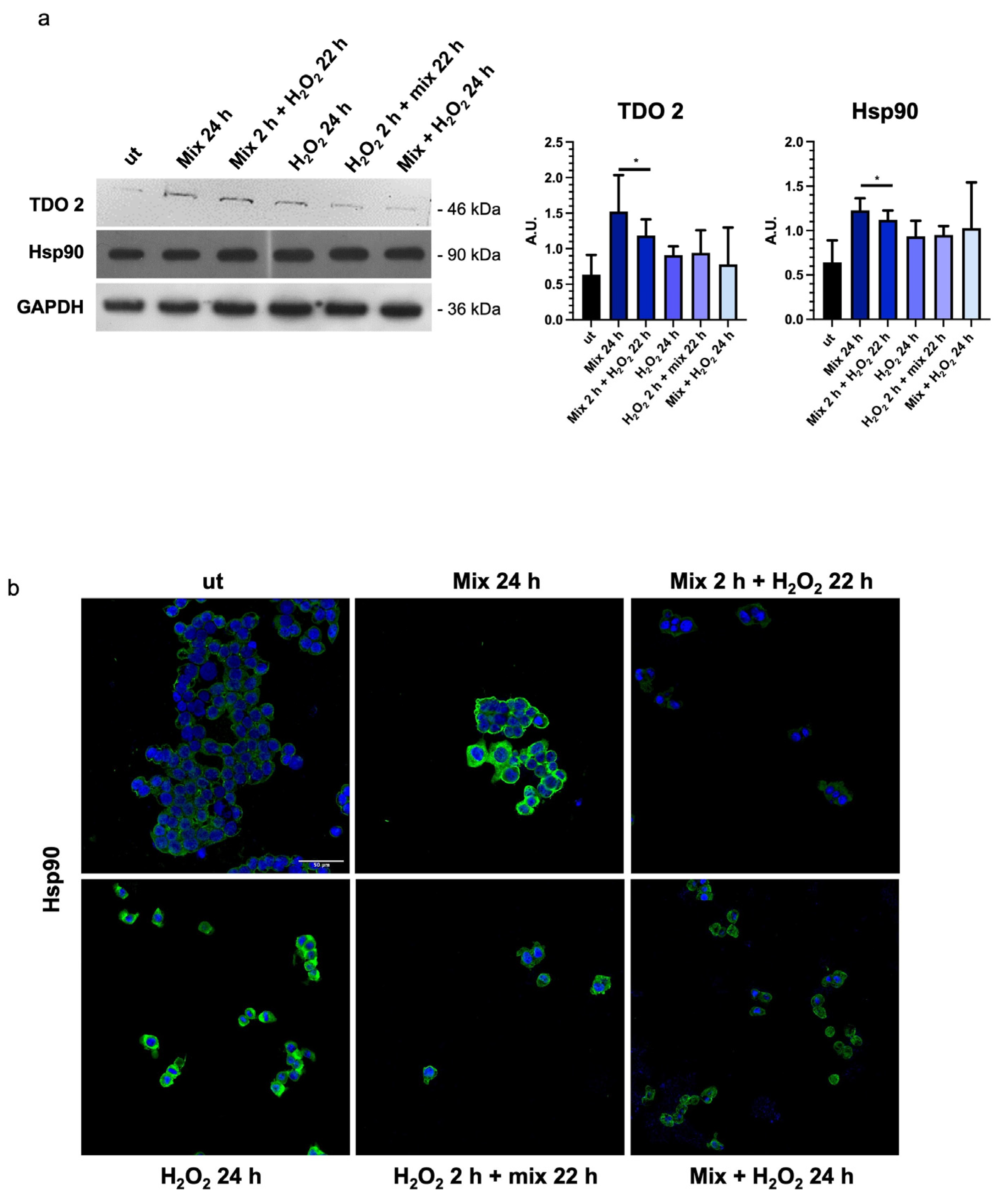 Biology 13 00296 g004