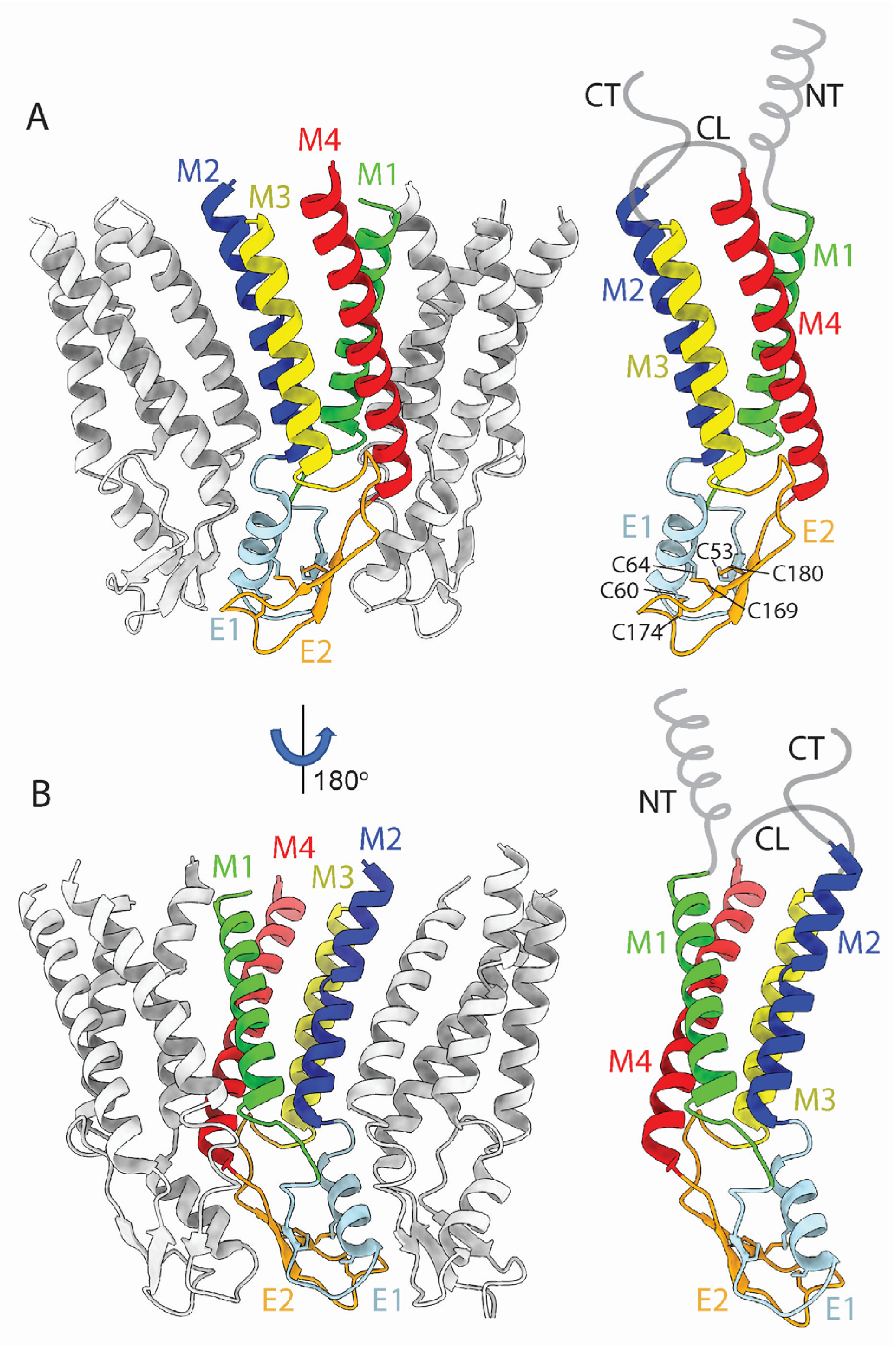 Biology 13 00298 g003