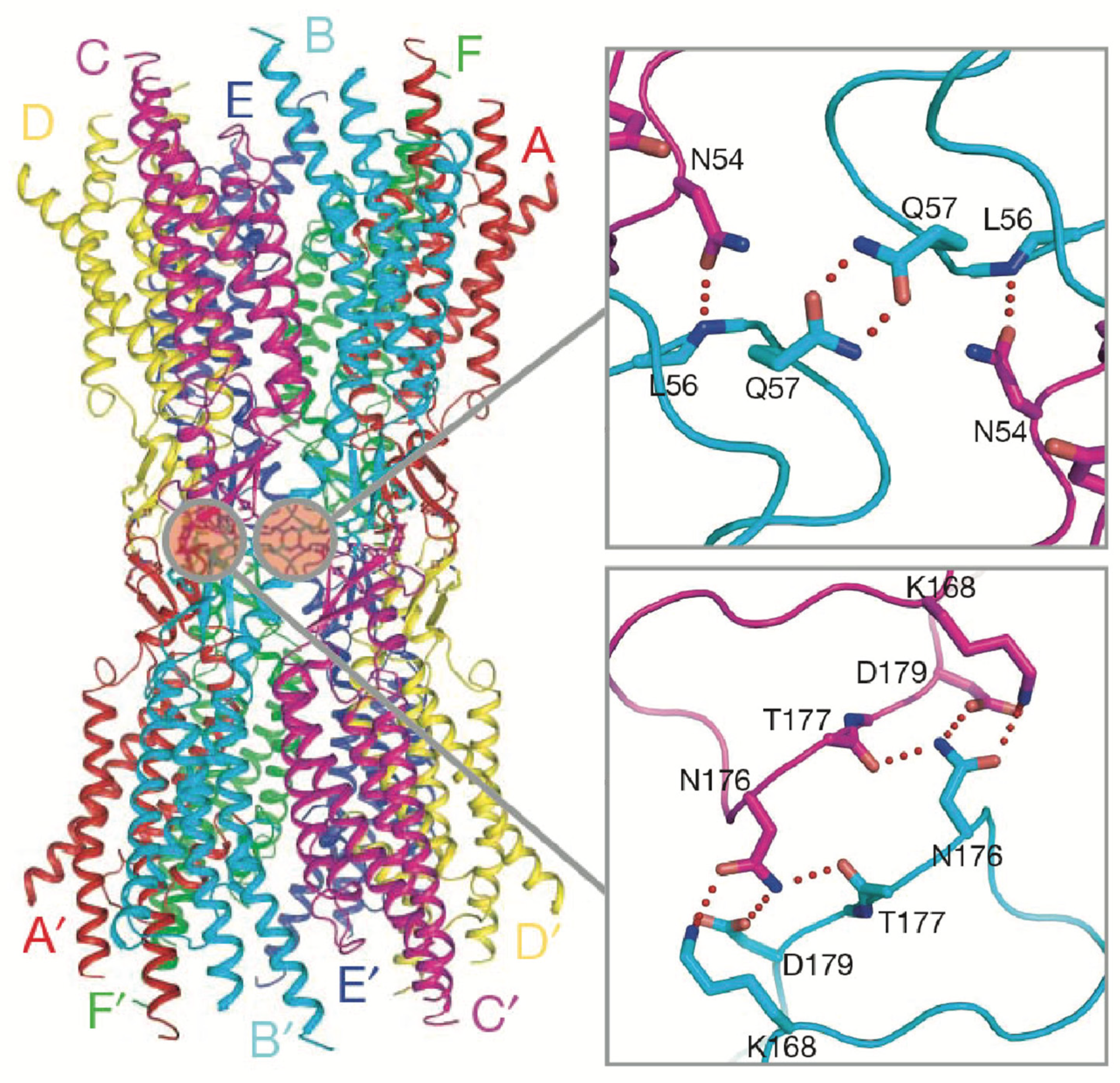 Biology 13 00298 g004