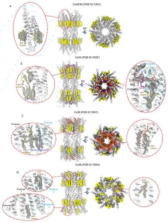 Biology 13 00298 g008