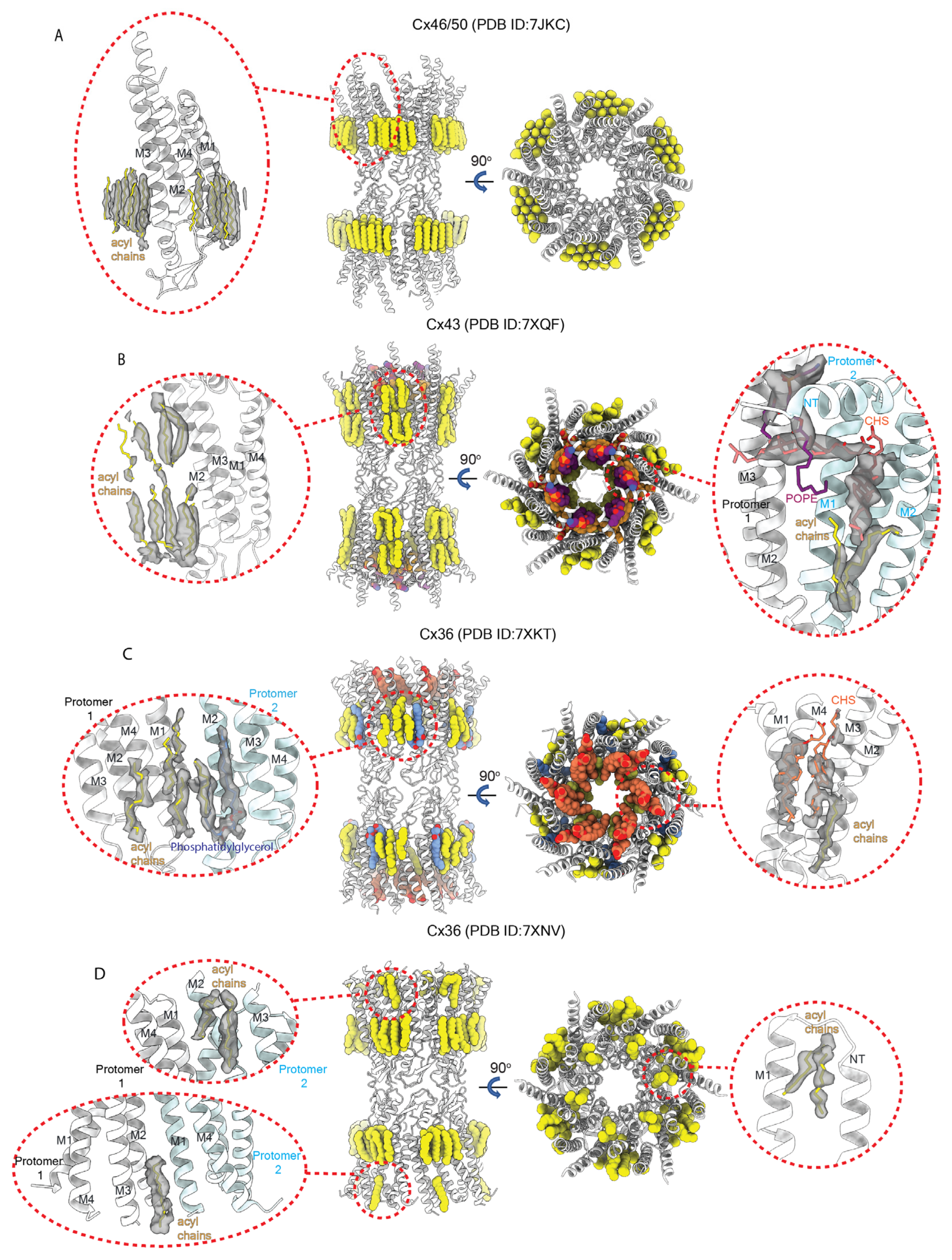 Biology 13 00298 g008
