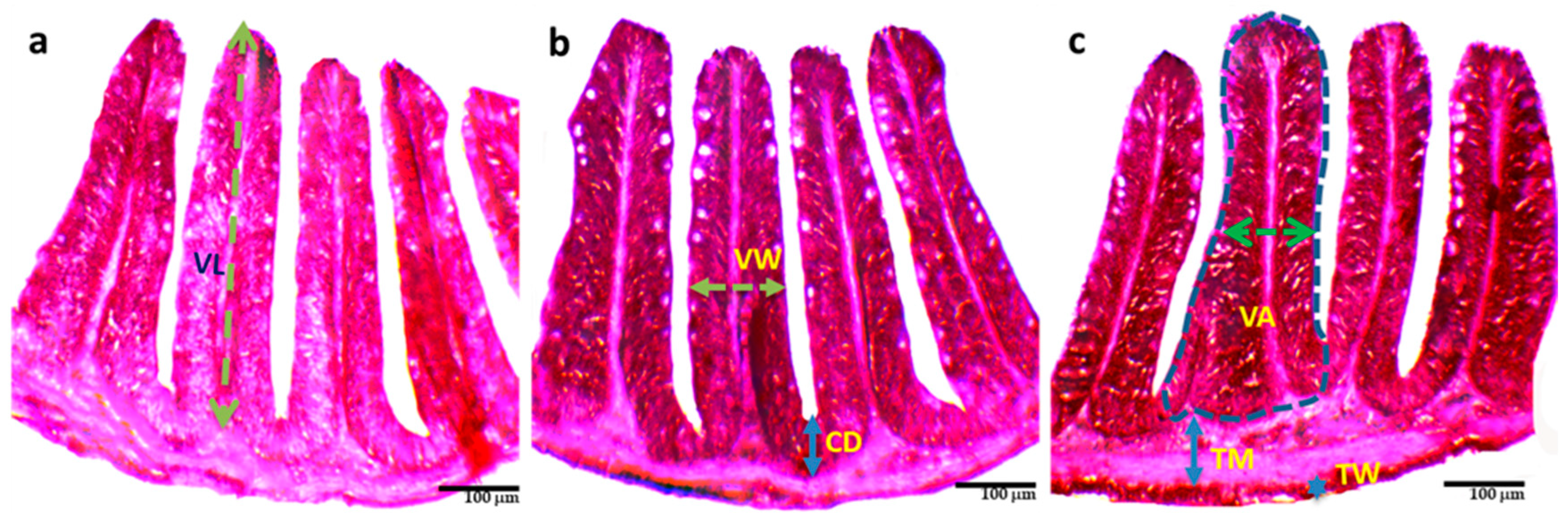 Biology 13 00299 g002 Biology 13 00299 g002