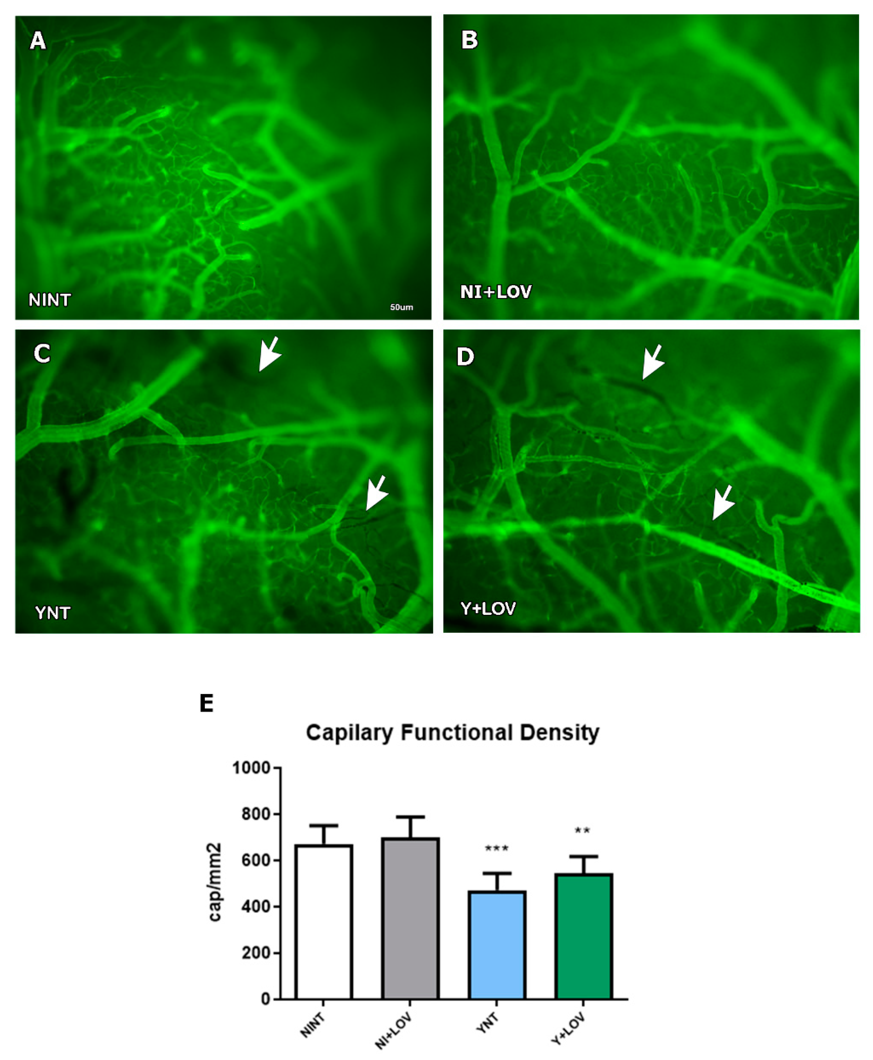 Biology 13 00301 g002