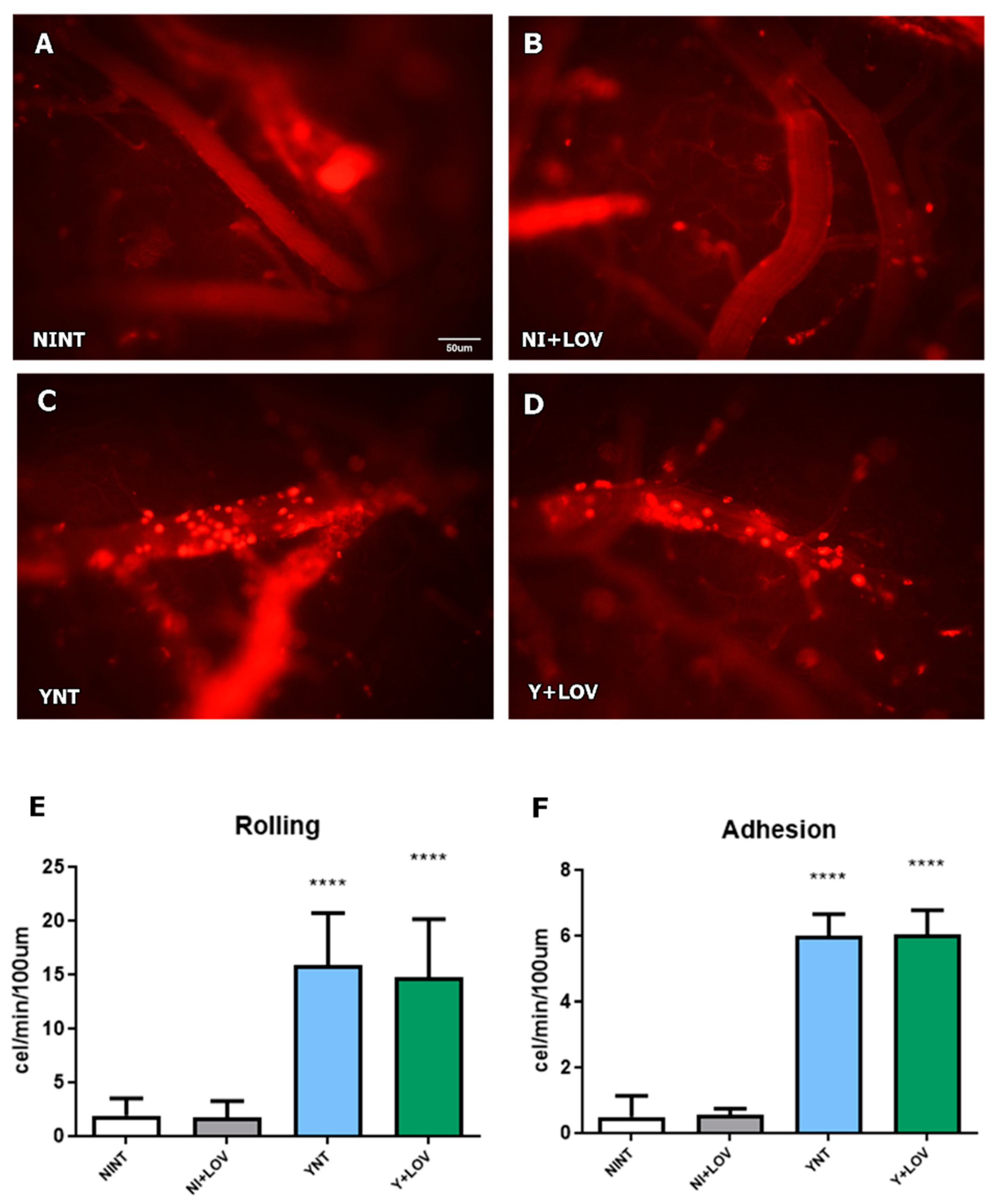 Biology 13 00301 g003
