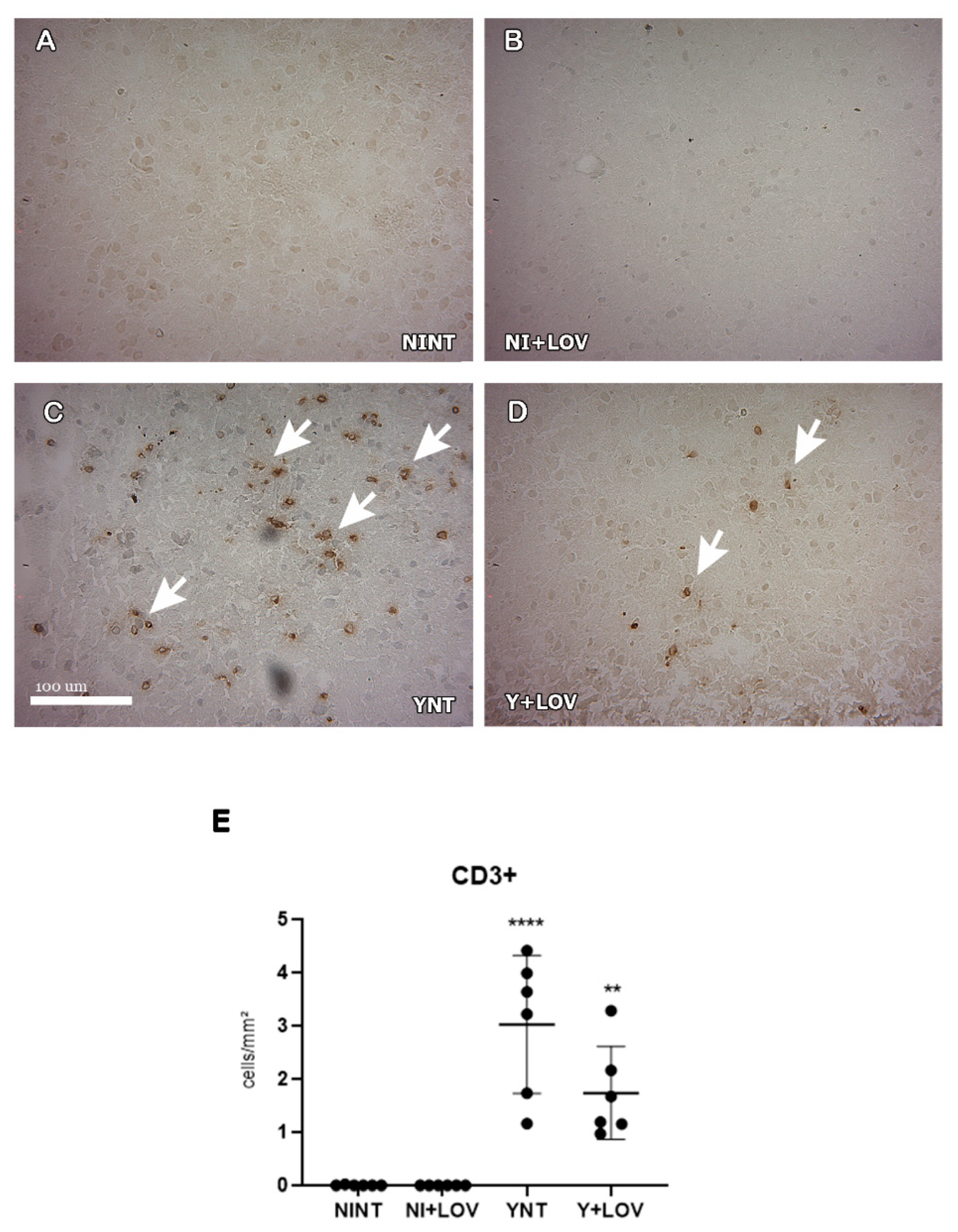 Biology 13 00301 g005