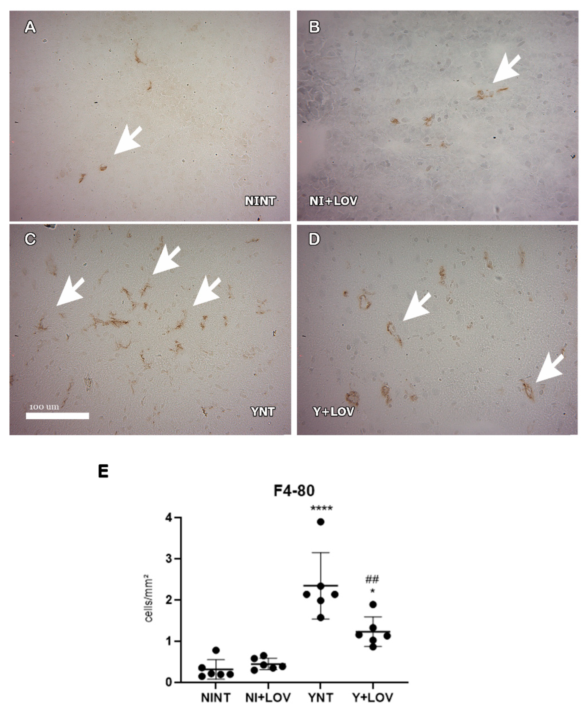 Biology 13 00301 g006