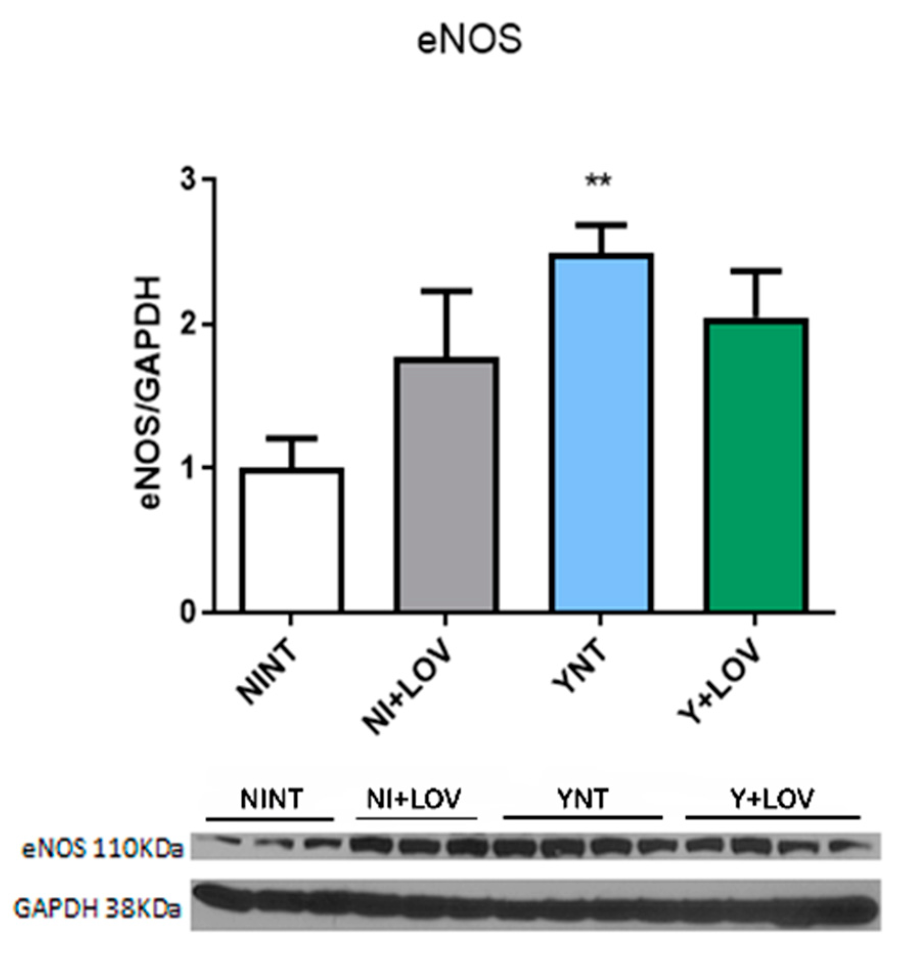 Biology 13 00301 g008
