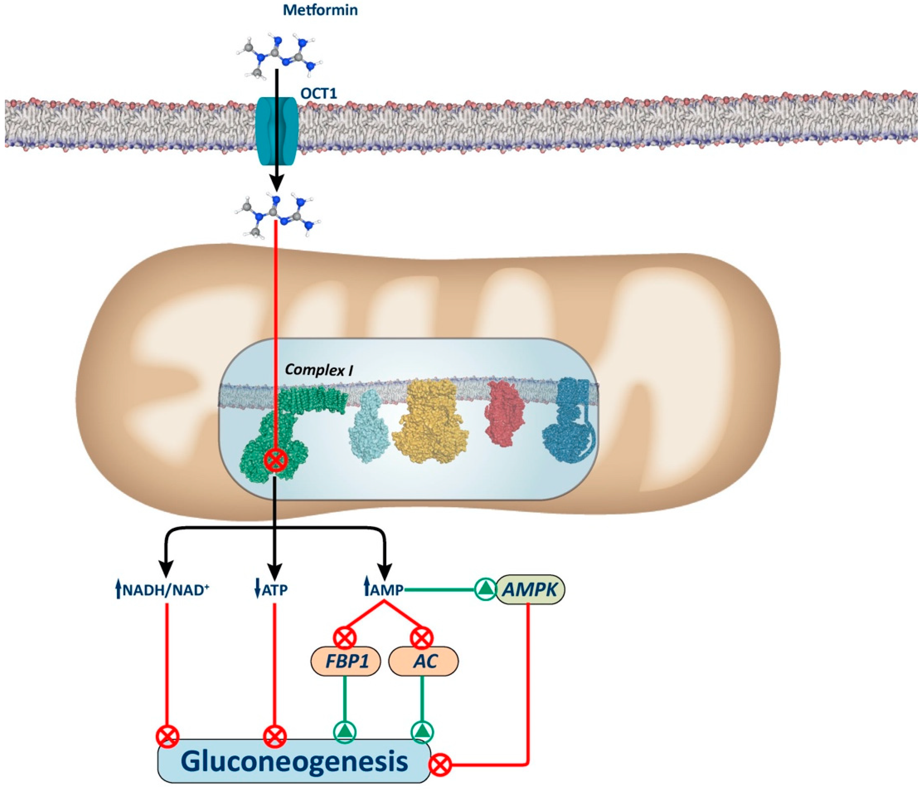 Biology 13 00302 g001