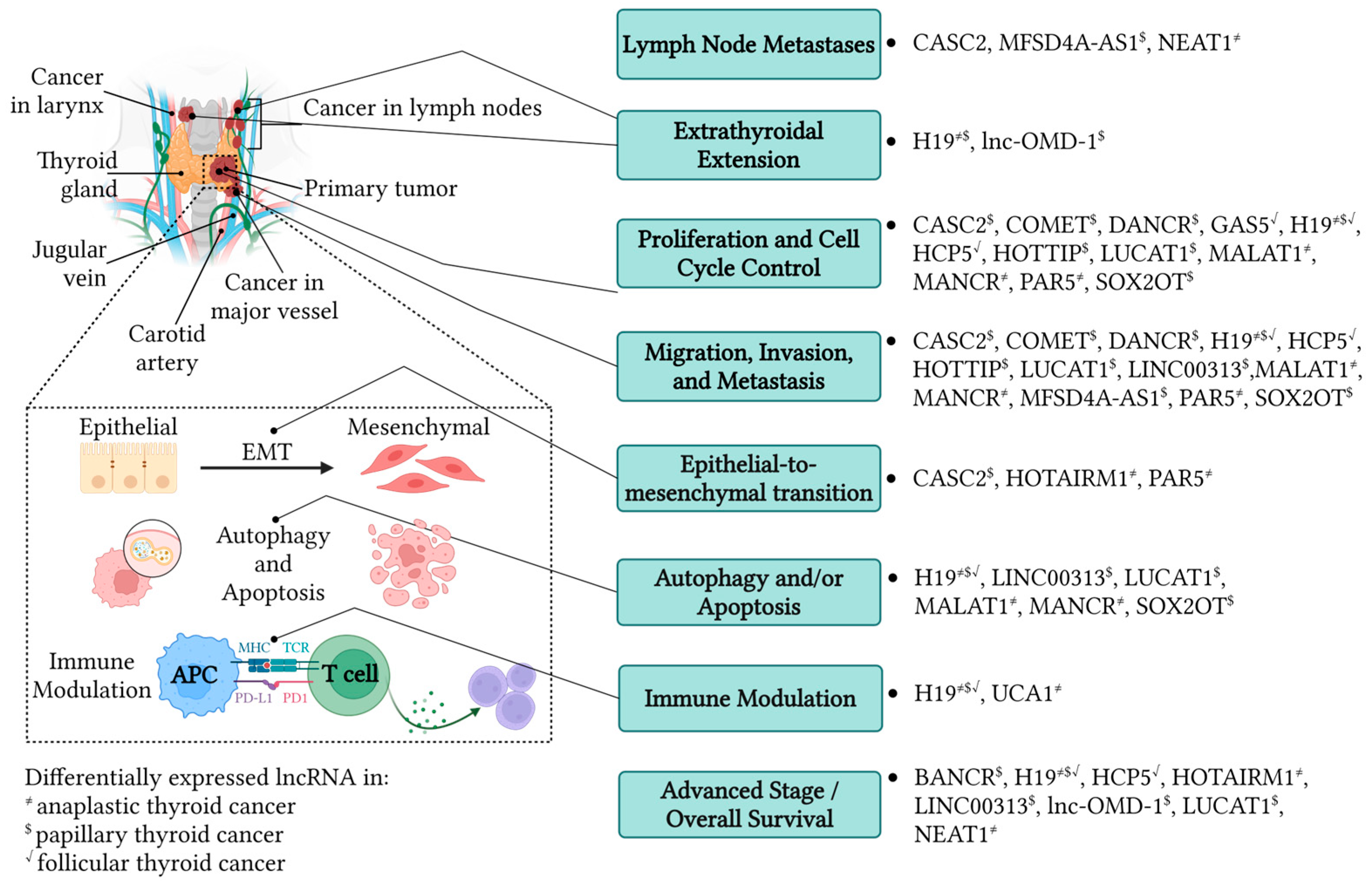 Biology 13 00304 g001