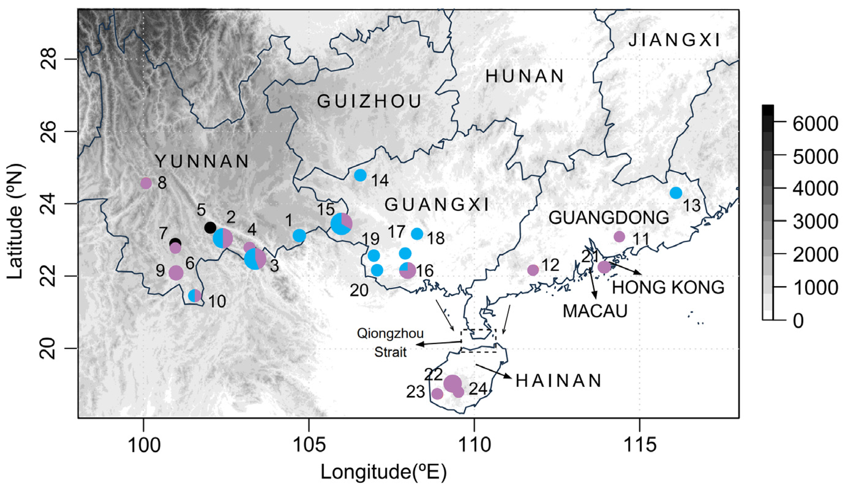 Biology 13 00305 g002