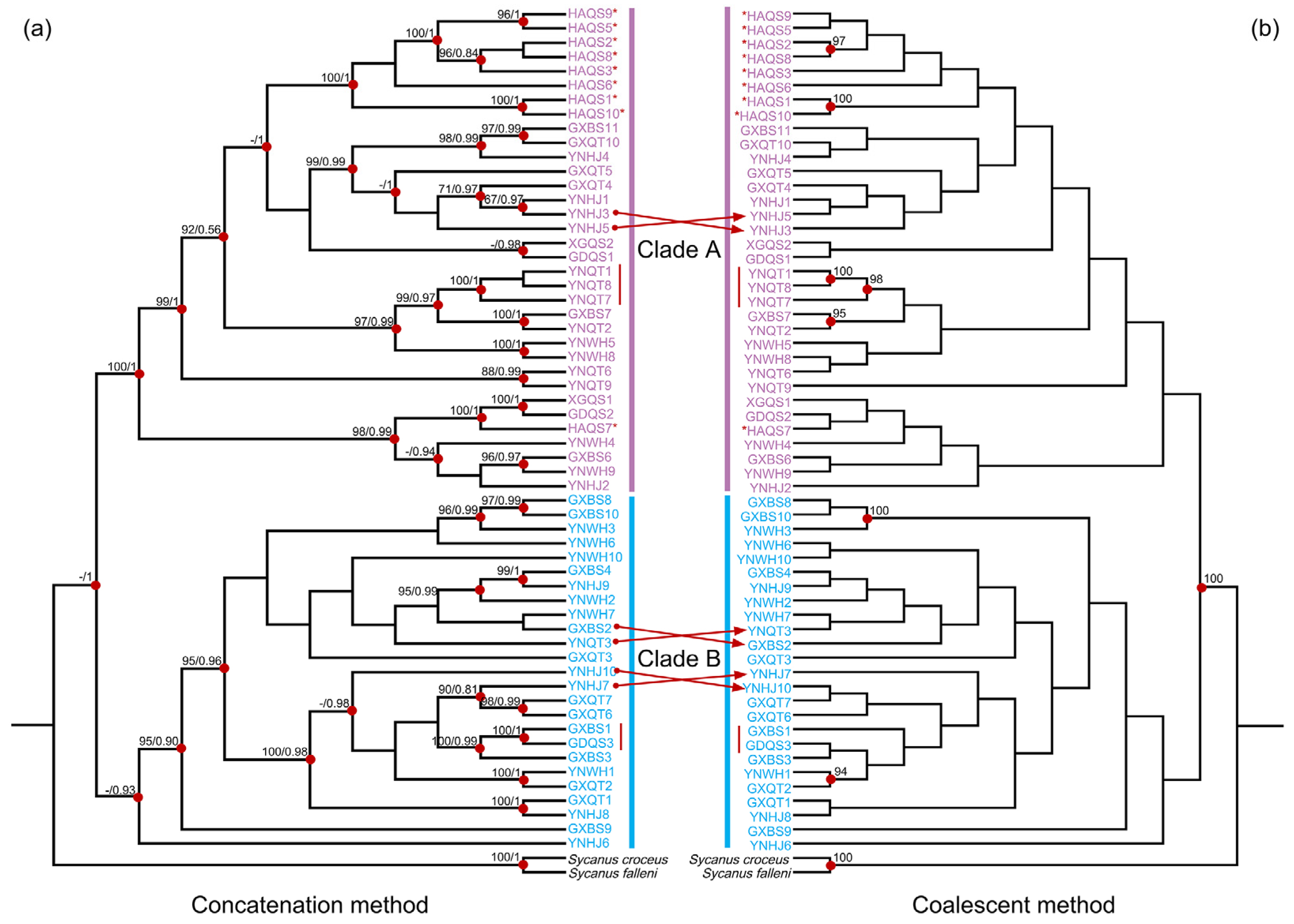 Biology 13 00305 g003